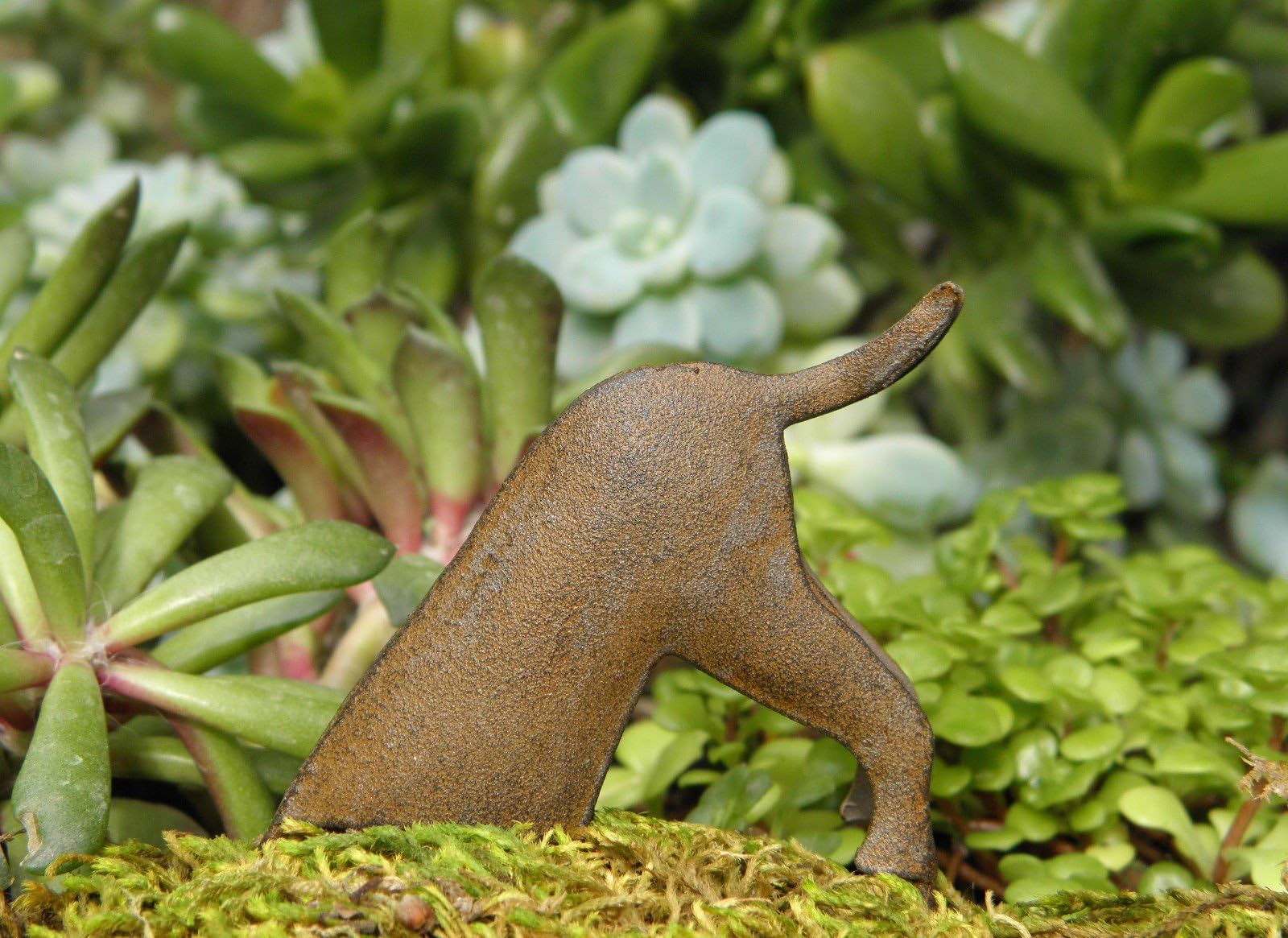 Miniature Fairy Garden Accessories Rustic Iron Digging Dog Plant Pick