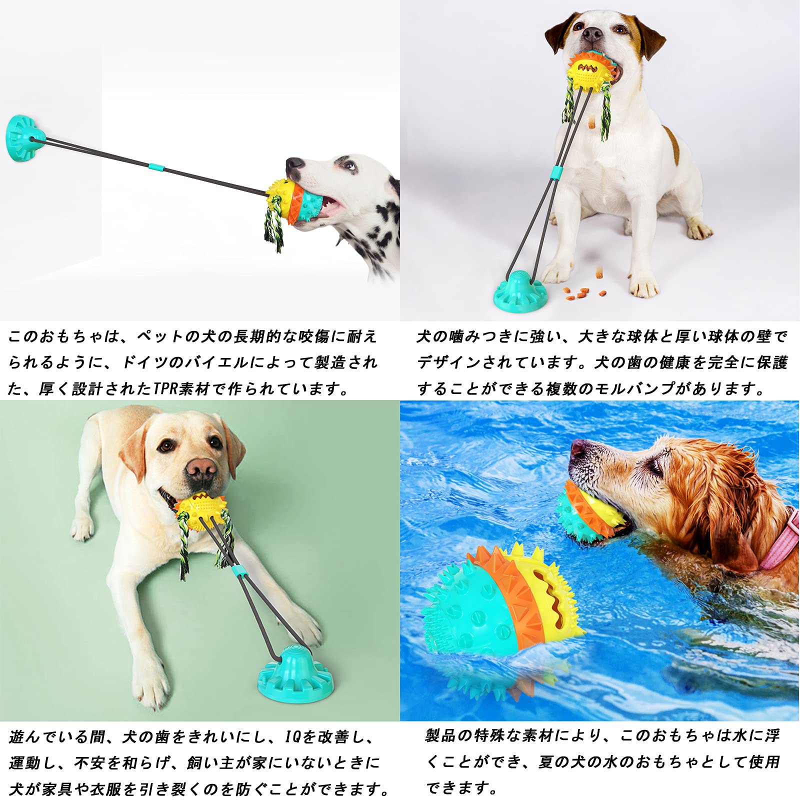 SHU Icanシリーズ犬 SHU Icanシリーズ犬