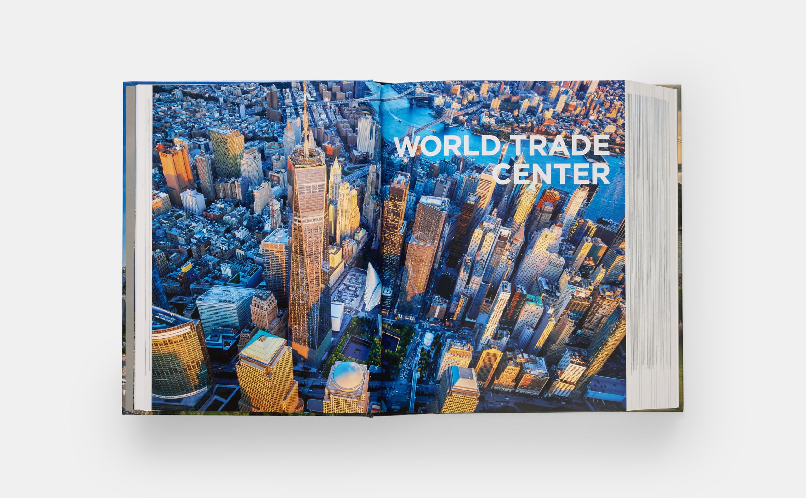 New York 2020 (Faceout): Architecture and Urbanism at the Beginning of a New Century