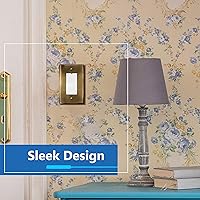 Vista 7 de LIDER Placa decorativa de pared de metal para interruptor o receptáculo, cubierta de salida de acero inoxidable, resistente a la corrosión