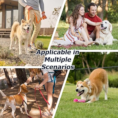 Miniatura 7 de Botella de agua de viaje para perros, botella de agua de acero inoxidable 3 en 1 aislada para perros, dispensador de viaje portátil con 2 cuencos