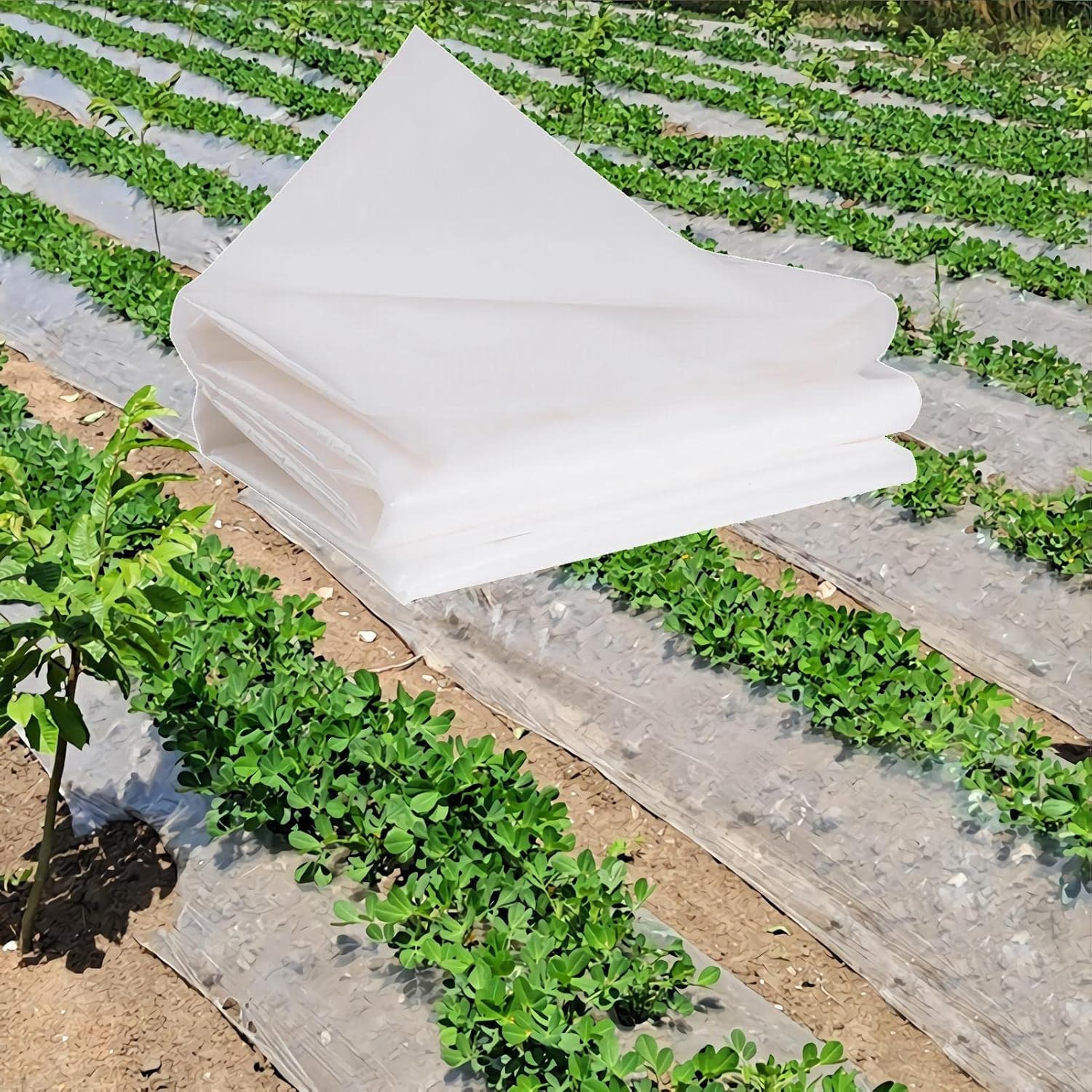XAZLBIW 4x16m Heavy Duty 80 Micron Waterproof Polythene Sheeting - Clear Plastic Cover for Greenhouse Polytunnel Dust Protection Farming Painting and Floor