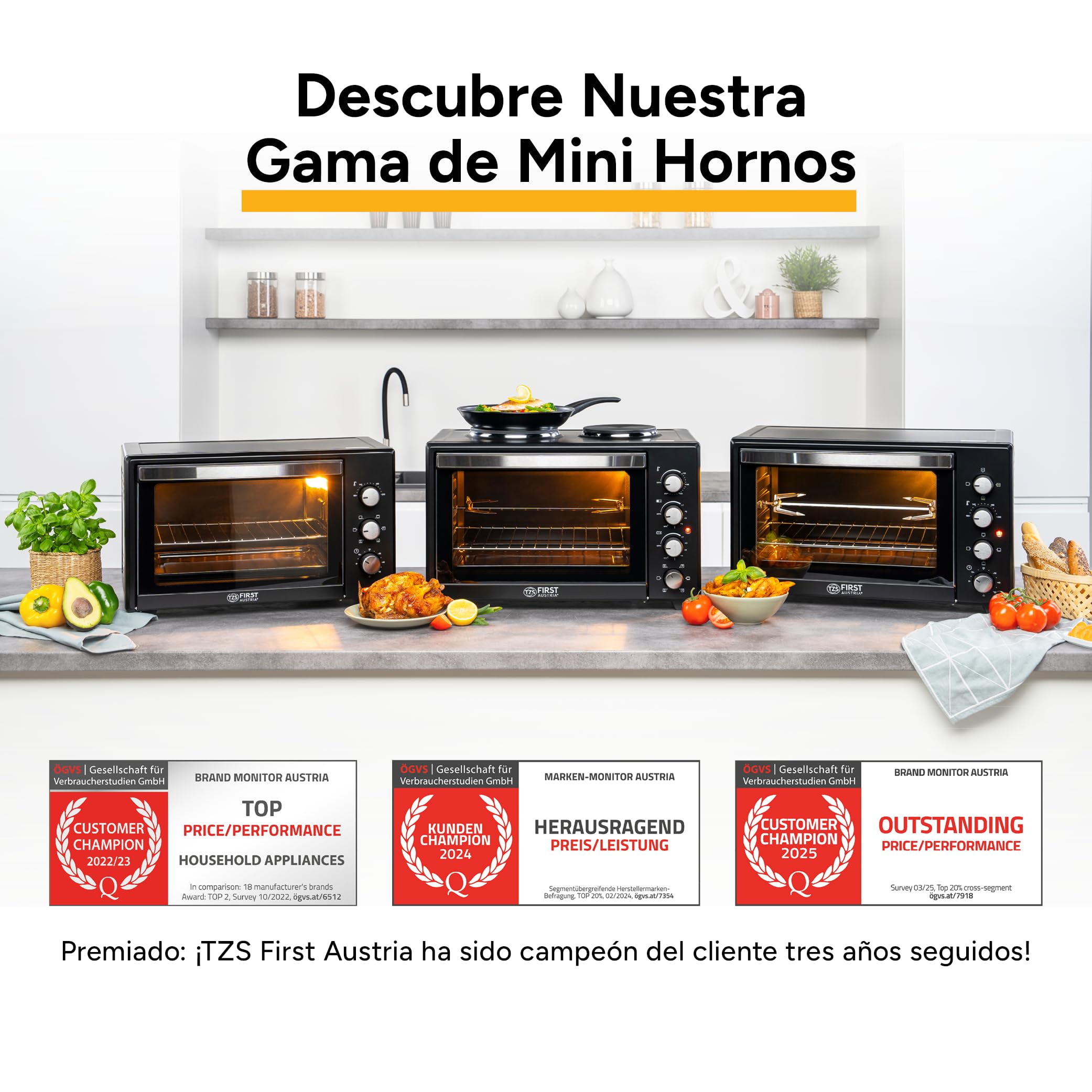 TZS First Austria - Mini Horno con quemadores 60L 3200 W - Minihorno para pizza con placas hasta 230°C y 6 modos de calentamiento - Multihorno con 4 alturas de inserción y accesorios de calidad