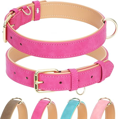 Soft Padded Leather Dog Collar for Medium Dogs (Hot Pink, 12-16") | Soft PU Padding Avoids Neck Irritation, Dual Welded Rings for Leash & ID Tags, XS/S/M/L fits All Girl Dog Sizes Daily Walking