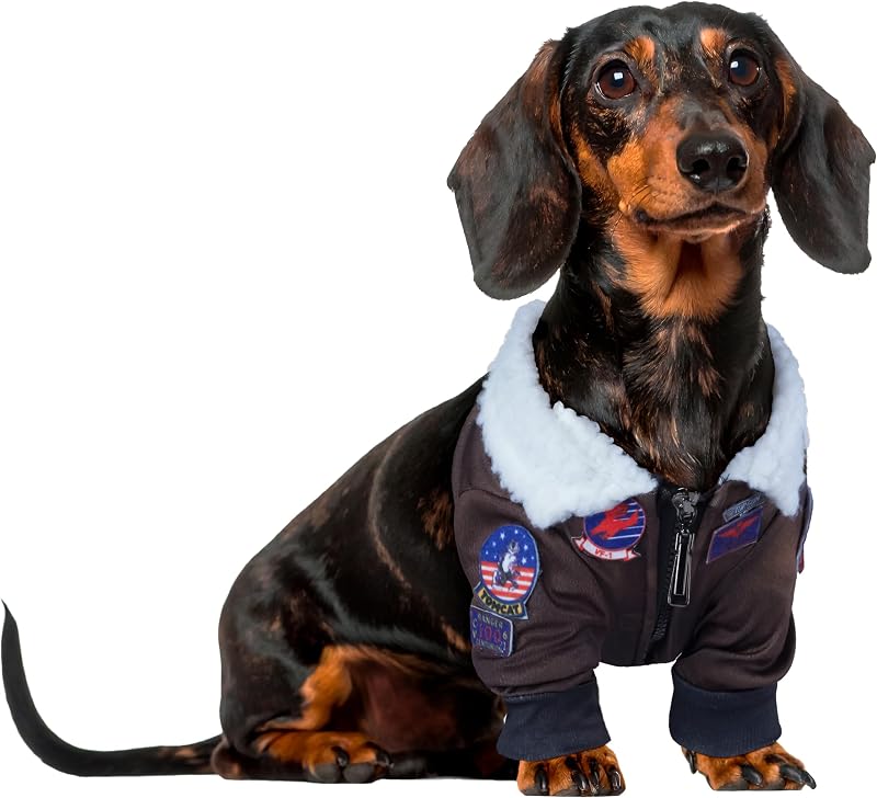 Top Gun: Maverick Pet Costume for For Dogs or Cats by Rubies, XL