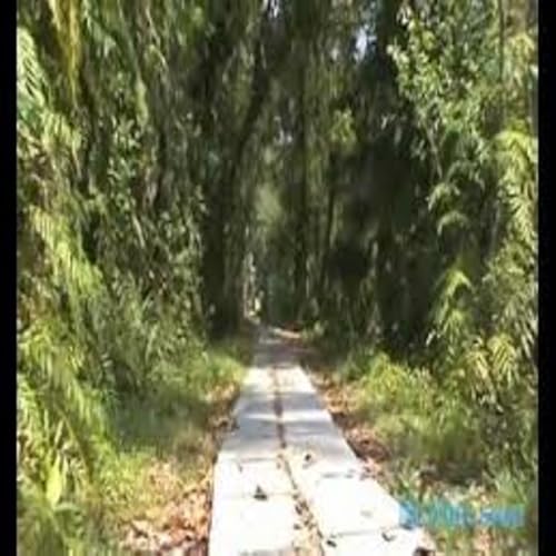 Pathiramanal - //medicalbooks.filipinodoctors.org