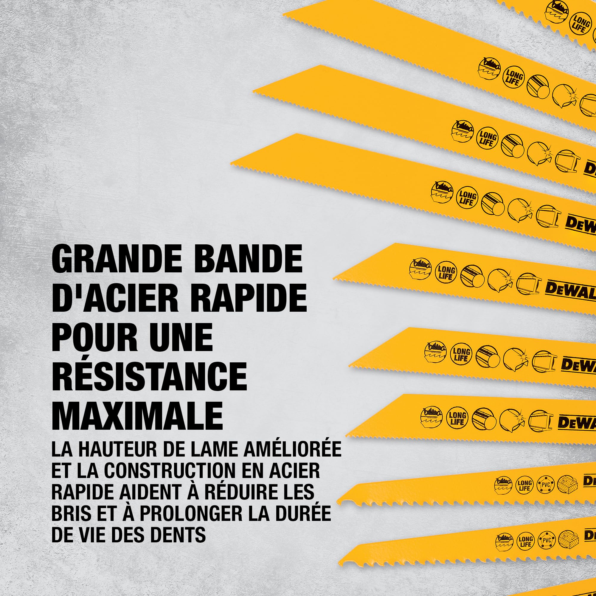DEWALT Jeu de lames alternatives bimétalliques mixtes et coffret de rangement (12 pièces), DT2445-QZ