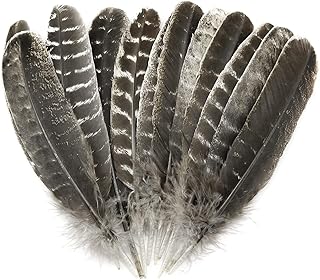 ZZHXSM 12pcs Natural Turkey Feather 8" - 10" for DIY Crafts Making, Clothes Decoration, Family, Wedding, Birthday Party Decoration