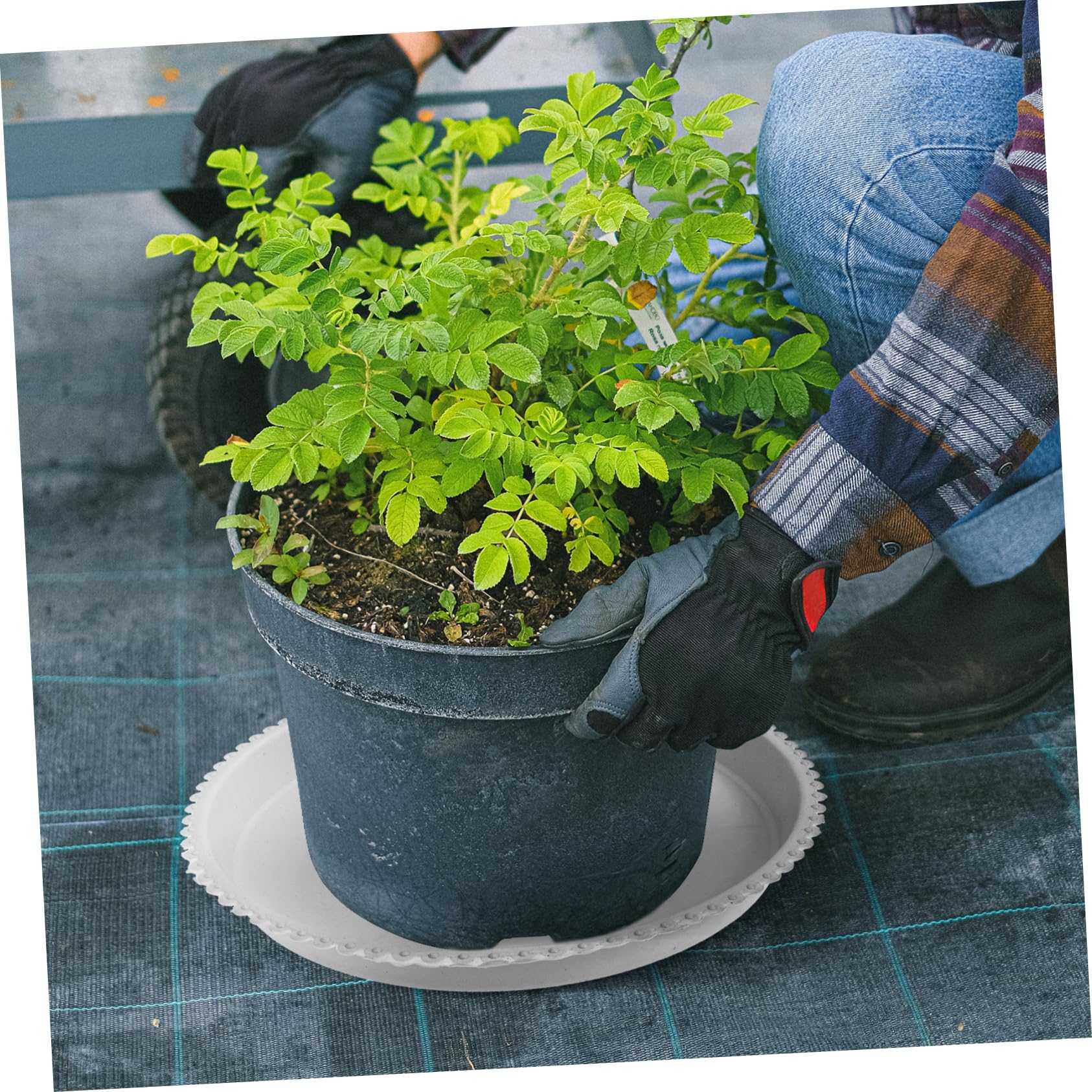 stojak na rośliny 10 szt. okrągłe tace na doniczki na kwiaty bonsai okrągłe tace na wodę doniczka na wodę tacki na kwiaty doniczki talerze podstawy doniczek H