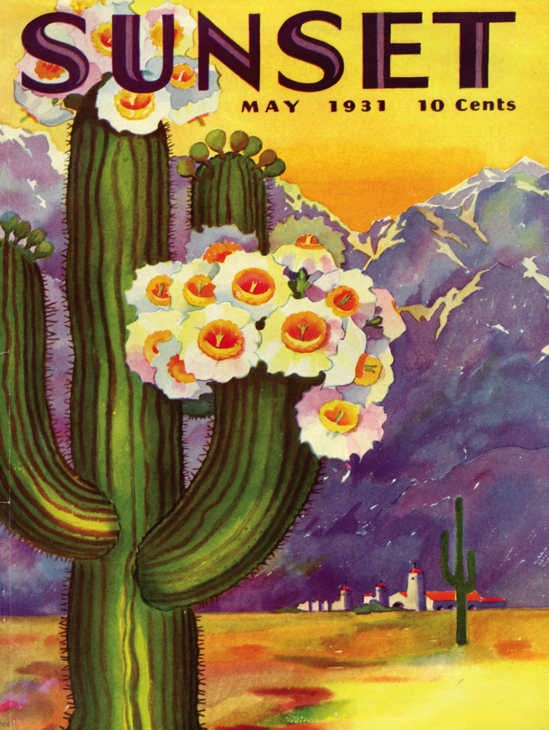 Amazon.com: New York Puzzle Company - Sunset Magazine Cactus Blooms - 500  Piece Jigsaw Puzzle for Adults : Toys & Games