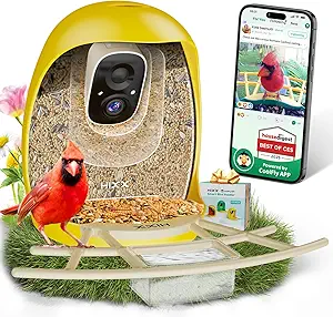 HIXX Smart Bird Feeder with Camera, Lifetime Free AI Identify Birds & Auto Capture, 2K HD Live Camera Birdwatching with Color Night Vision for Bird Lovers Gifts (Yellow) asin的图片