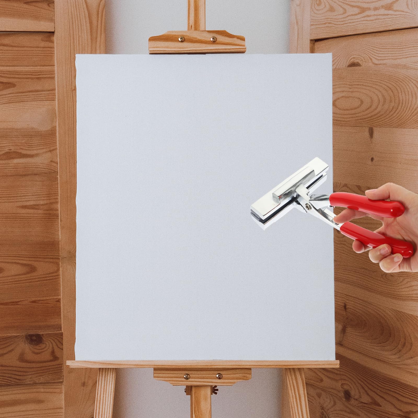Ciieeo Pinza per Tela per Artisti e Stampatori Fotografici in Acciaio