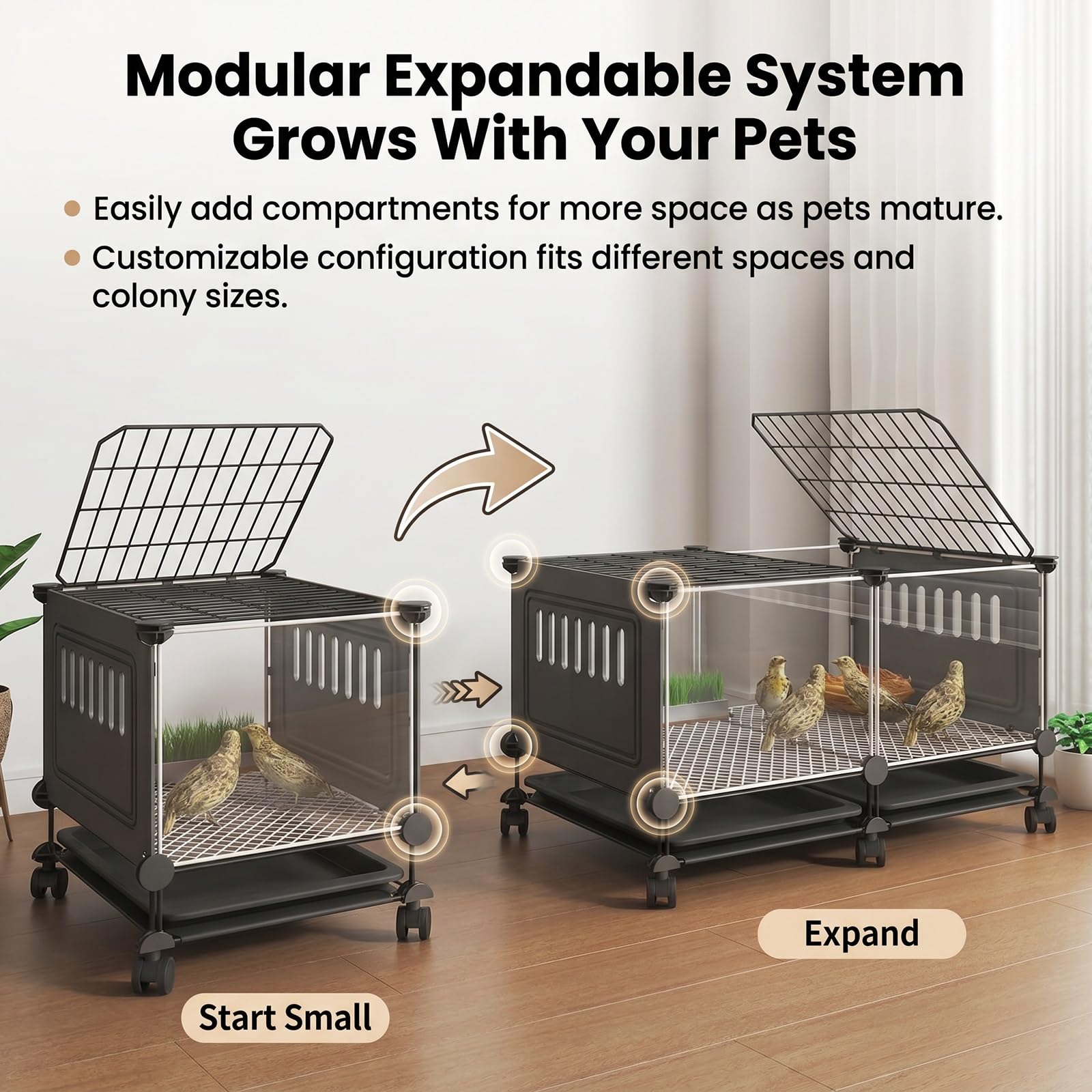 Jaula Grande para Animales pequeños, gallinero Transparente HD para Conejos y gallinas con Ruedas, Bandeja extraíble, Almohadillas Antideslizantes, Caja de cría para gallinas(Black,S)