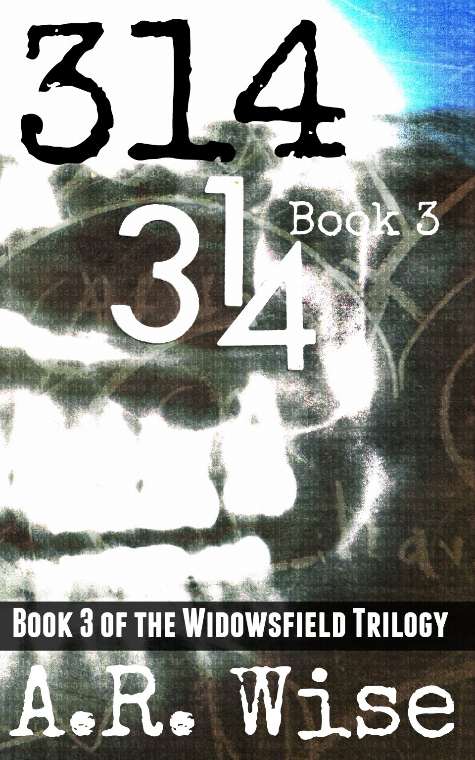314 Book 3 (Widowsfield Trilogy)