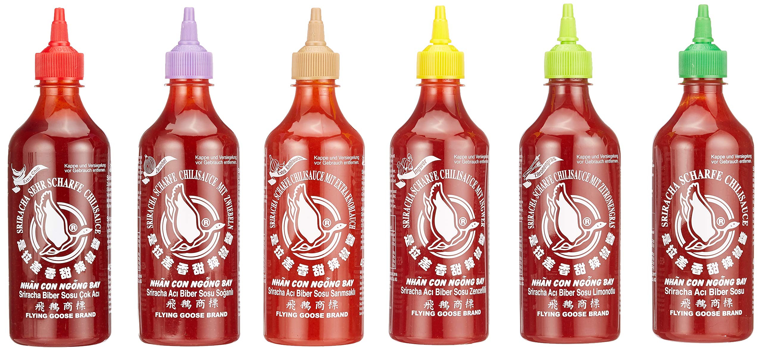 Flying Goose Sriracha scharfe Chilisaucen Mischkarton (in 6 Geschmacksrichtungen, Würzsaucen aus Thailand zum Würzen) 6er Pack (6 x 455ml) & Sriracha Chilisauce "BLACKOUT", (455 ml)