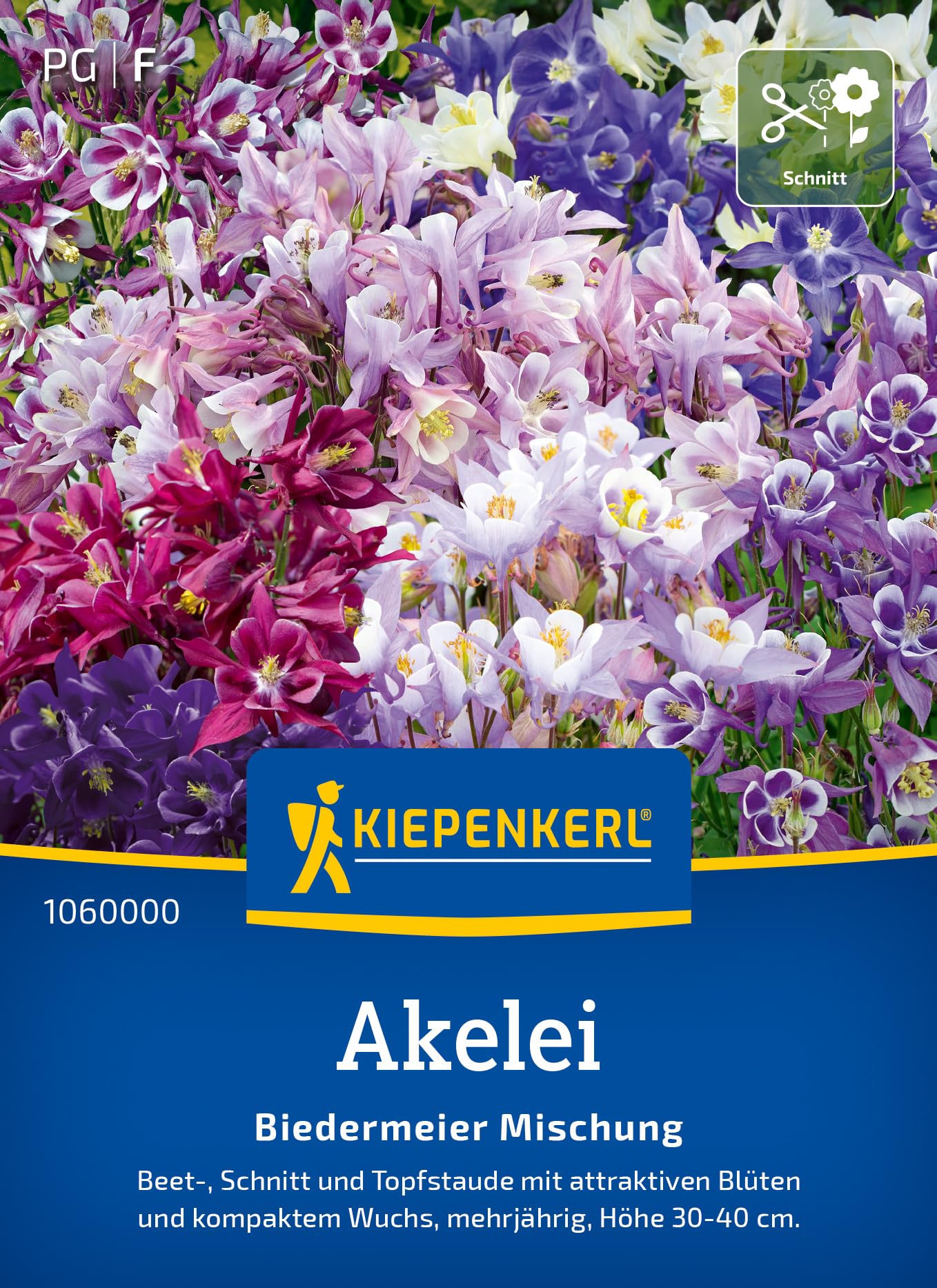 Kiepenkerl Akeleisamen Biedermeier Mischung 1060000 – Beet-, Schnitt- und Topfstaude mit attraktiven Blüten - Pflanzensamen, Saatgut, Blumenmischung