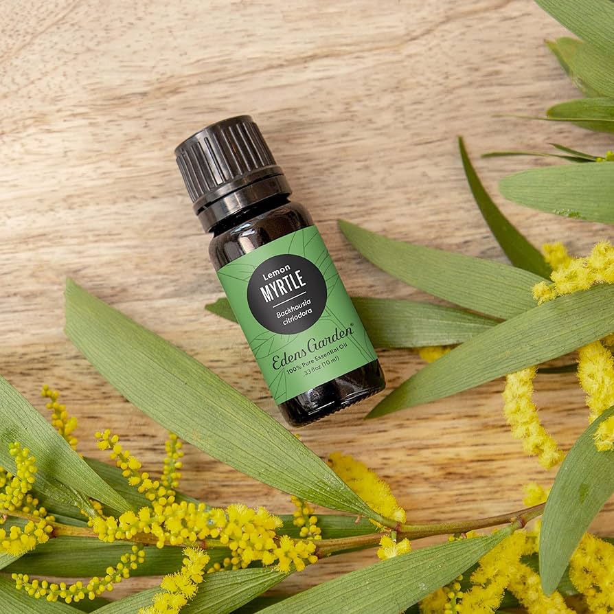 Amazon.com: Edens Garden Myrtle- Lemon Essential Oil- 100