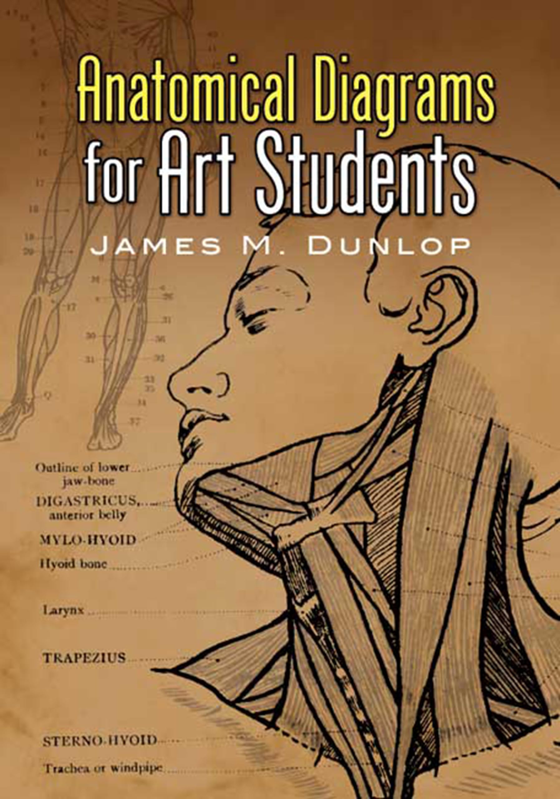 Anatomical Diagrams for Art Students (Dover Art Instruction)