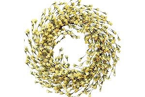 TEMPUS 18" Artificial Forsythia Wreath for Front Door