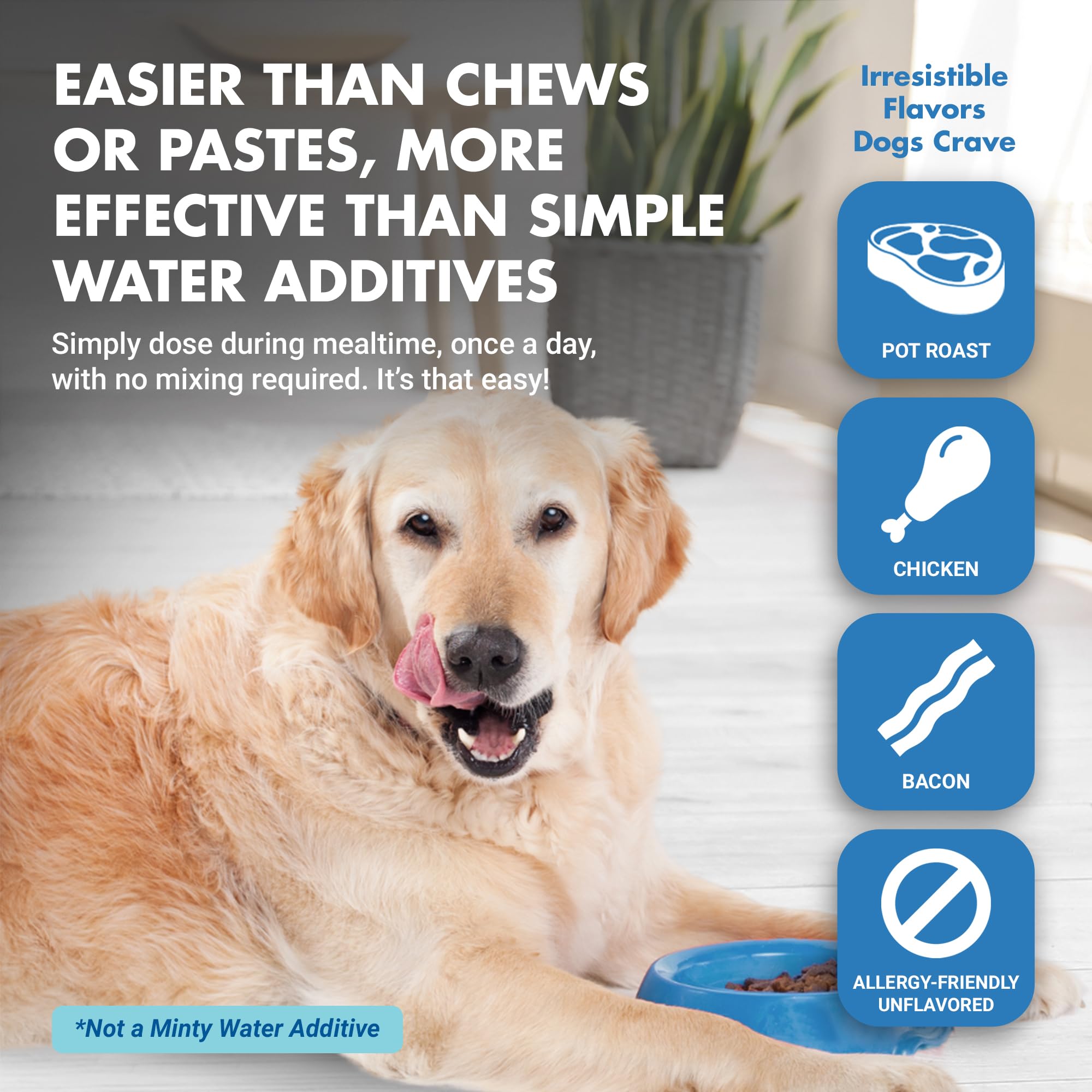 LIQUID-VET Ultimate Dog Dental Care Solution: Teeth Cleaning & Plaque Remover Food Additive - Fresh Breath Mouthwash, Tartar Control, and Gum Health Support - Premium Pet Product - image 6
