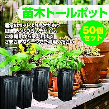 【サービス品@2480〜】ガット（大苗） multipot40_1.jpg
