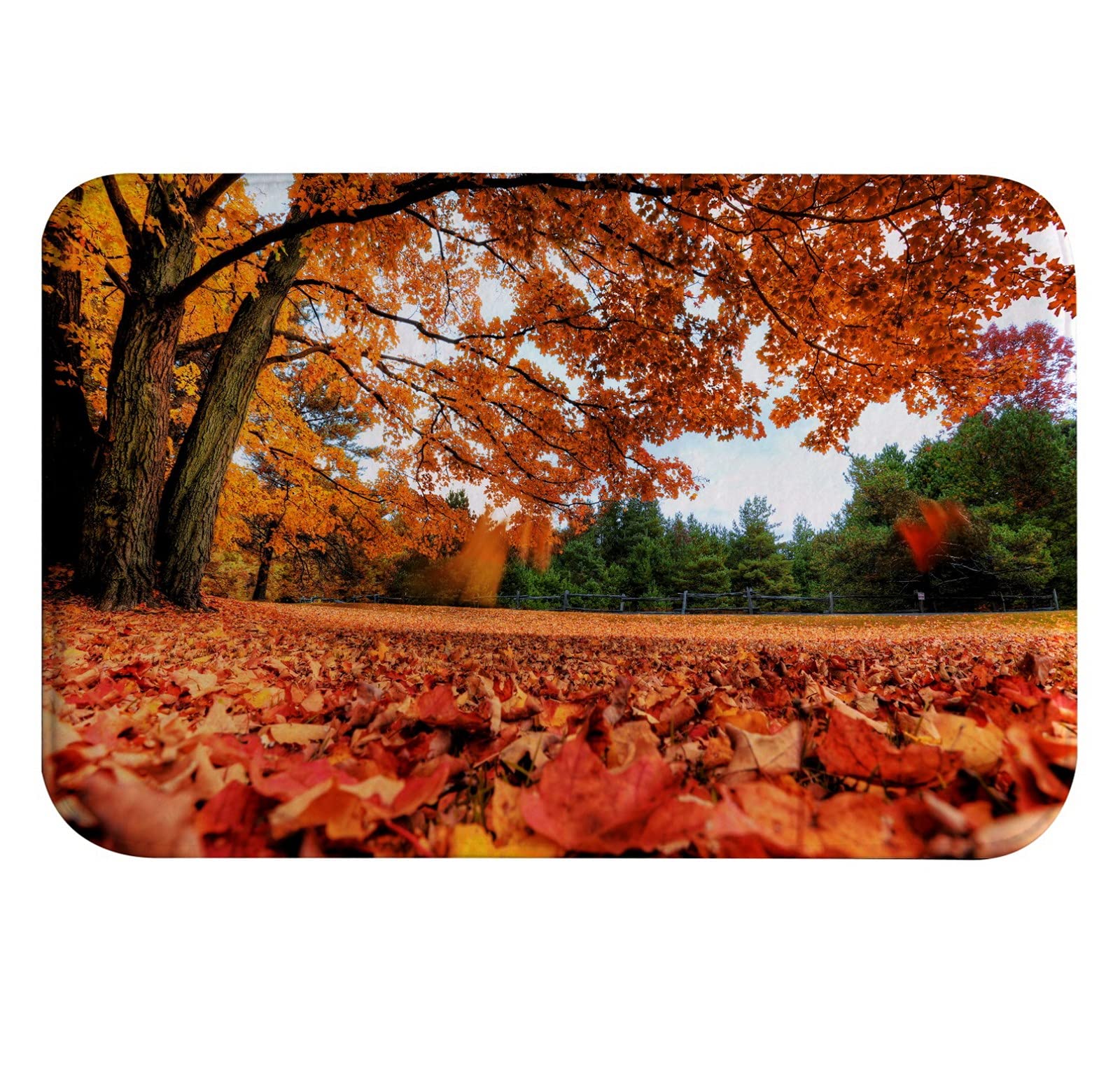 A.Monamour Non-Slip Water Absorbent Washable Bath Mat Orange Maple Tree Leaves Fall Autumn Forest Scenery Nature Soft Flannel Mat Rug Carpet for Bathroom Bathtub Shower Kitchen Sink Bedroom