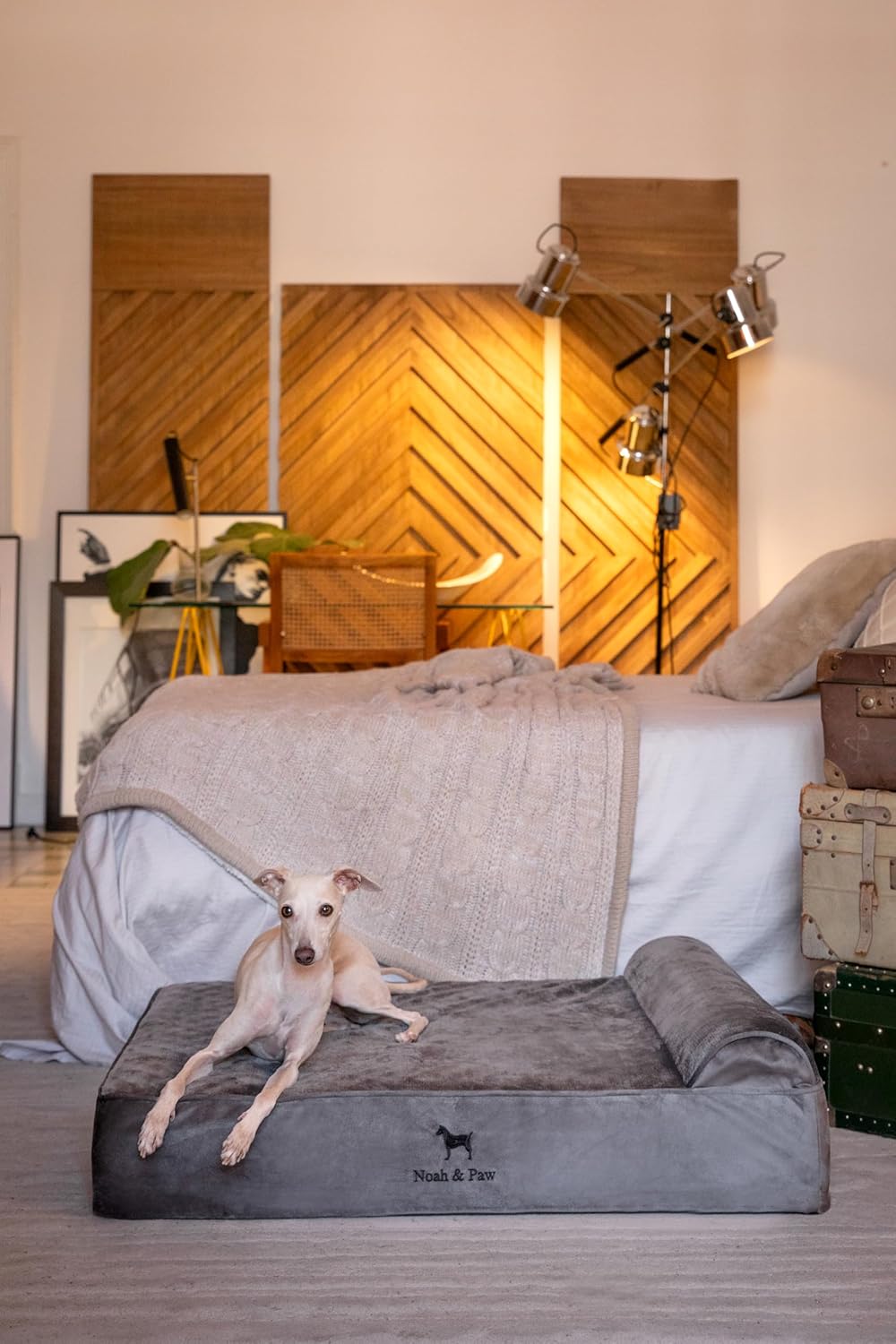 Ultimate Comfort: NOAH & PAW Orthopedic Dog Bed Review