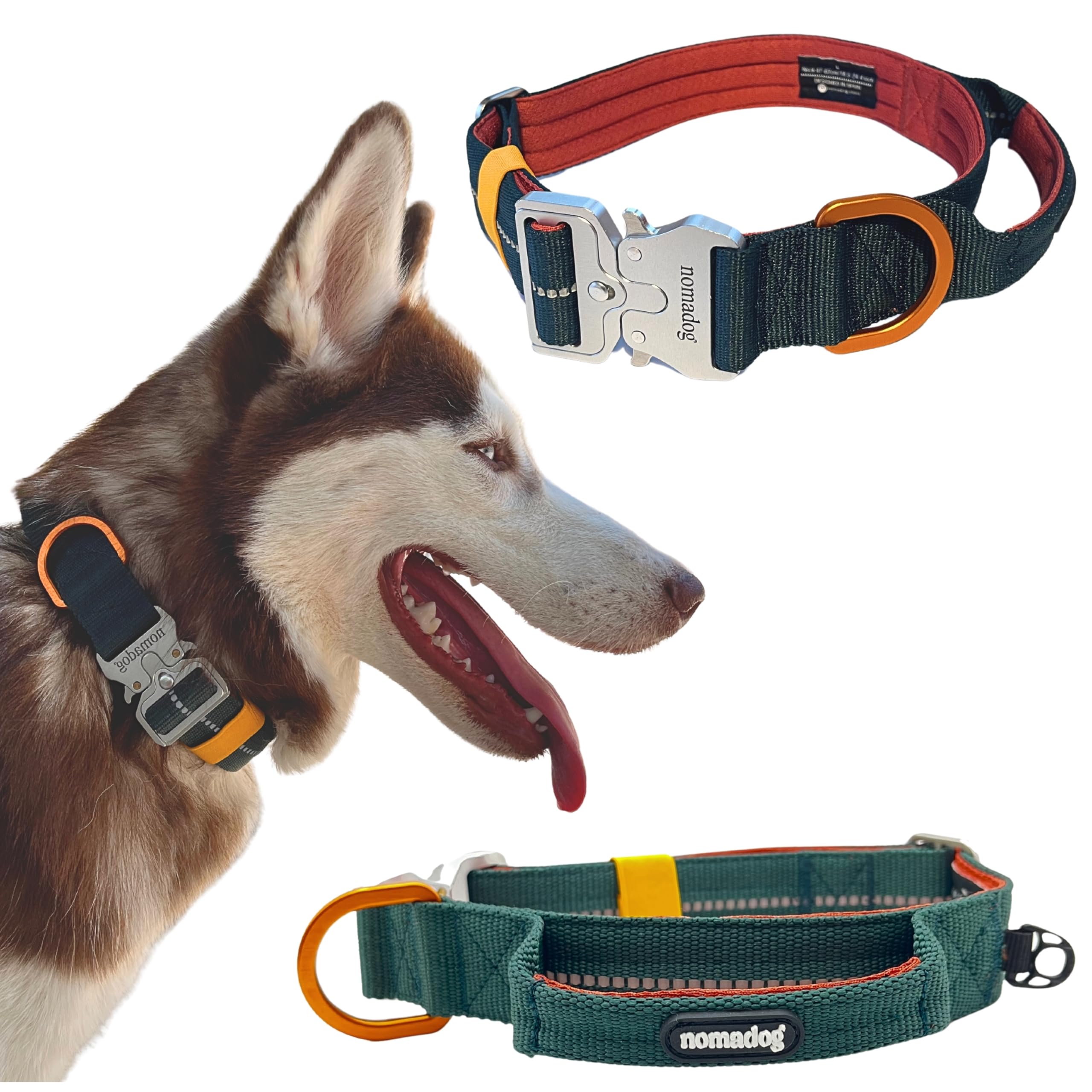 Nomadog Trailblazer Collar Perro Grande con Asa de Control - Premium, Resistente, Ajustable, Acolchado, Reflectante, Hebilla de Aluminio - Collar Táctico Perro (L)
