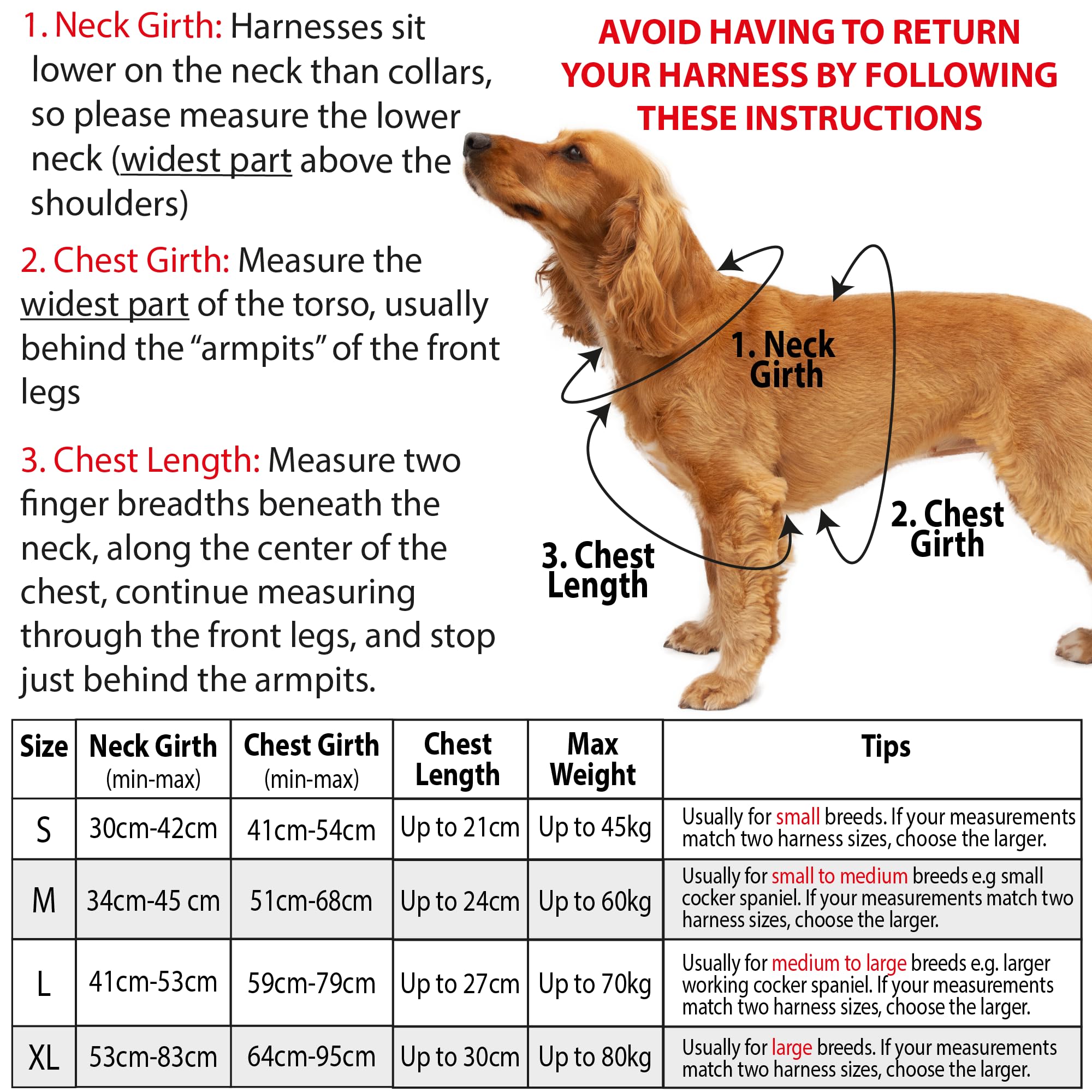 Elite Paws UK : Harnais pour chien avec boucle en métal de qualité supérieure, solide, sûr, rembourré, confortable, réglable, réfléchissant, attaches de laisse avant/arrière, poignée souple, gilet de