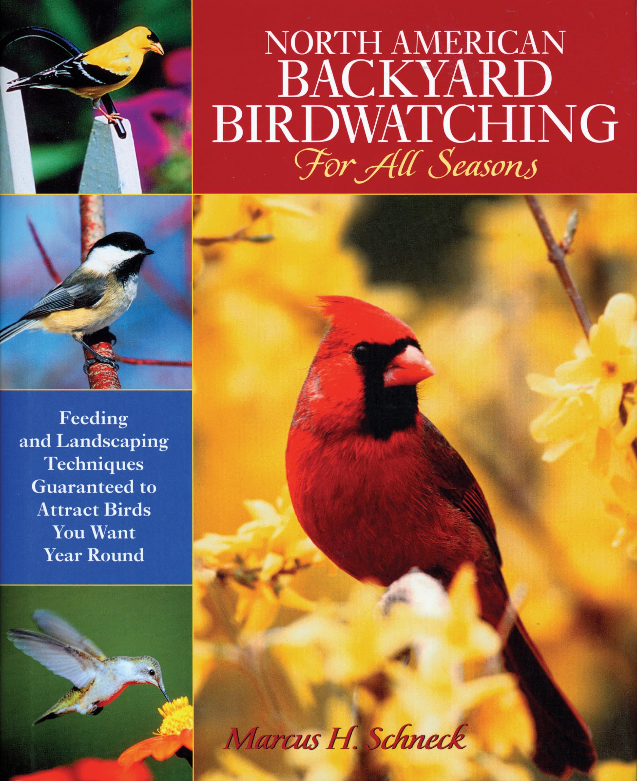North American Backyard Birdwatching for All Seasons
