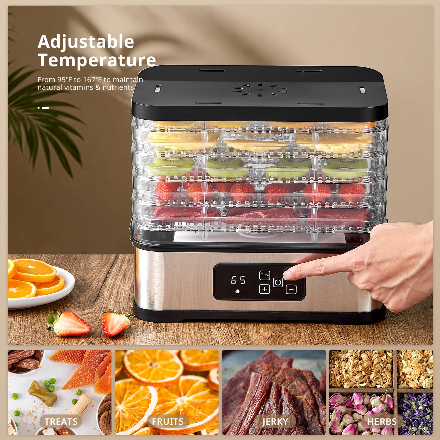 Déshydrateur Alimentaire 250W avec Minuterie & Contrôle de Température, 5 Plateaux, Sans BPA, Appareil de Séchage Électrique pour Fruits, Légumes, Viande, Herbes & Friandises pour