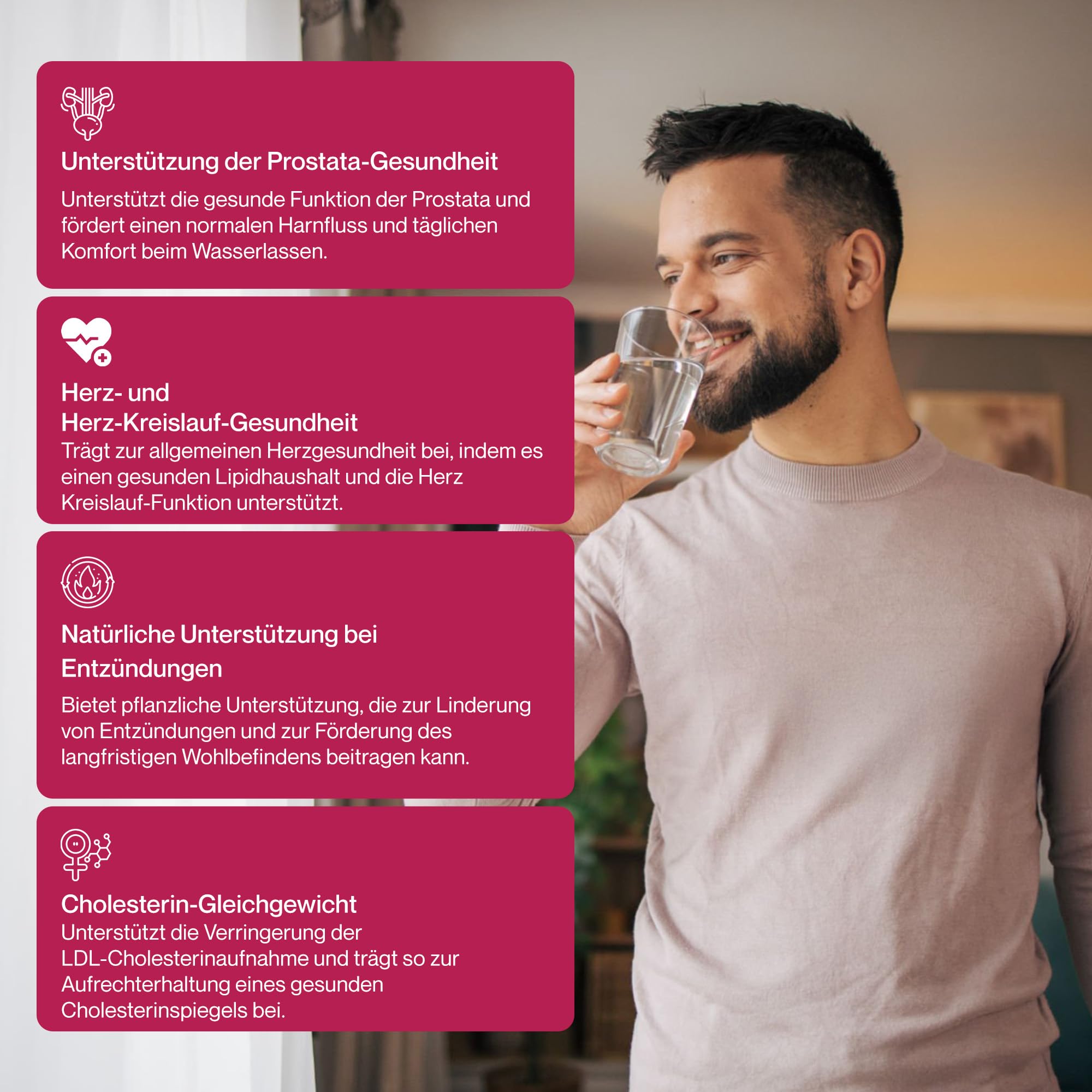Hepatica Beta-Sitosterol 400 mg täglich | aus 800 mg Pflanzensterolen | 120 vegane Kapseln | GMP & Laborgeprüft
