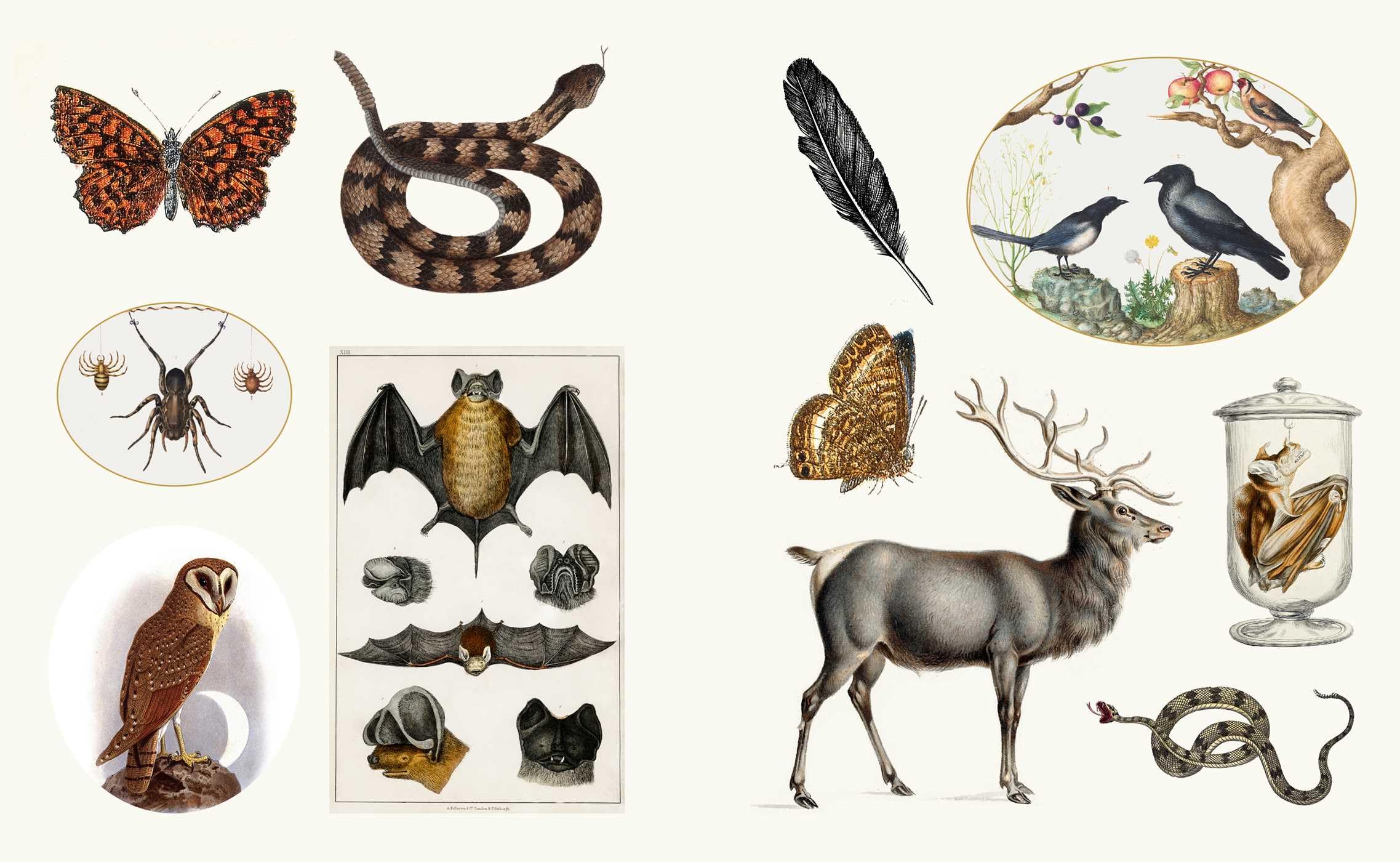 Mystical Esoterica Sticker Book