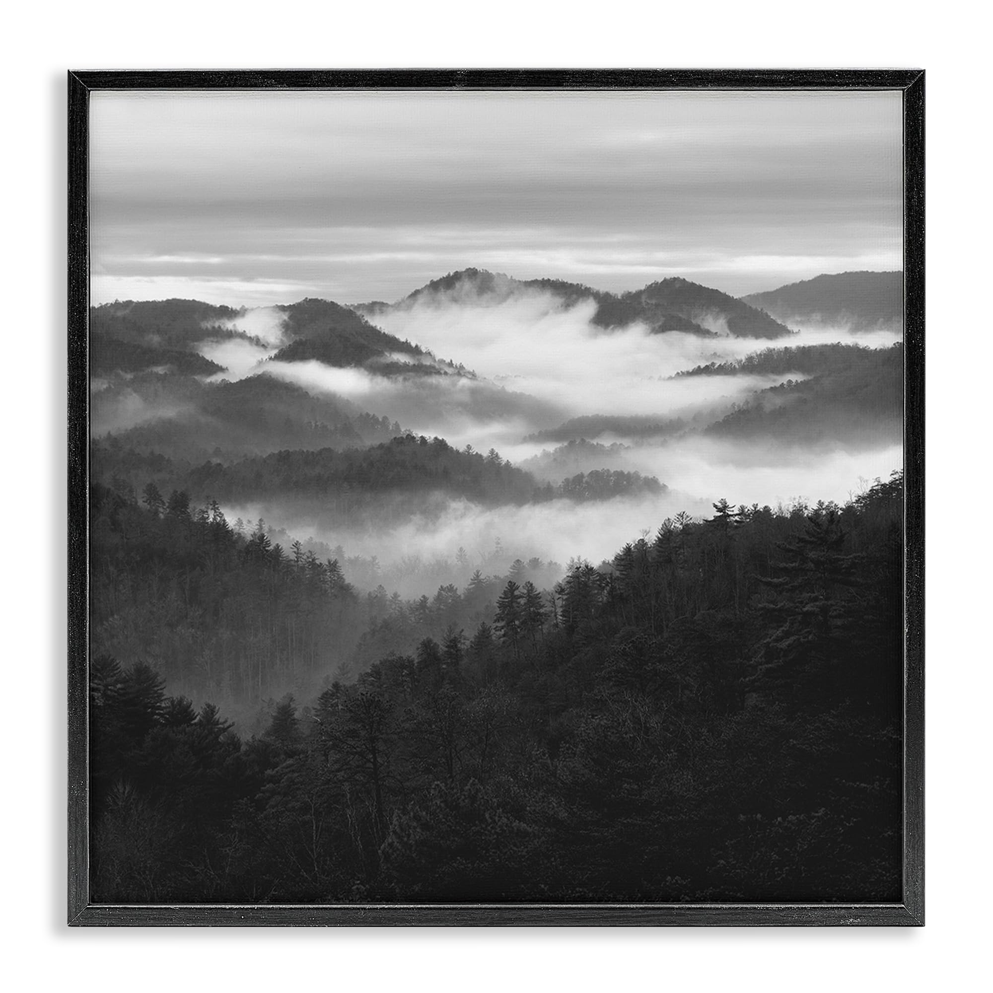 Stupell Industries Midnight Black (Textured) 'Smoky Mountains Forest'| Framed Giclee Art