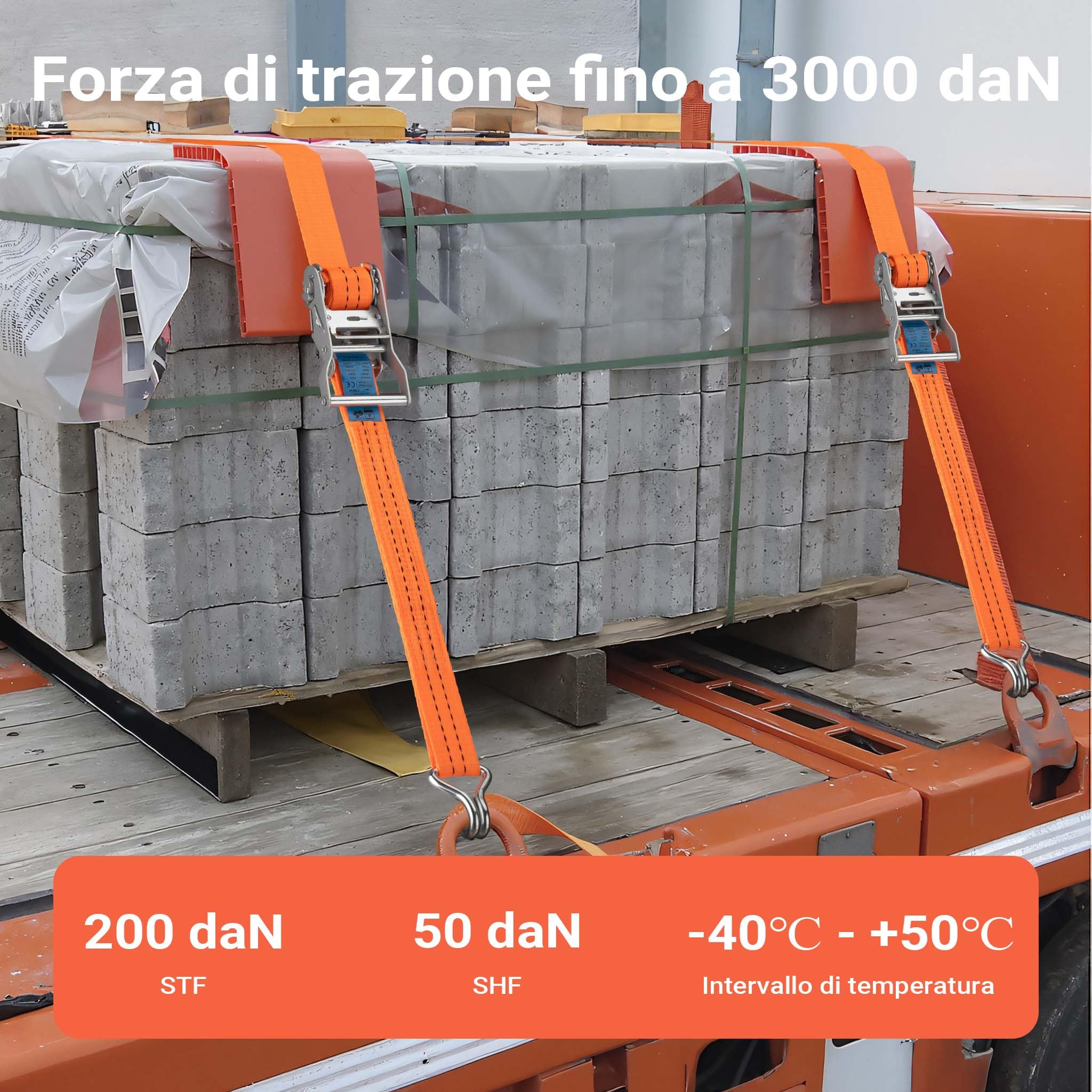 XPOtool Cinghia di ancoraggio a cricchetto Set 4 cinghie di fissaggio 6 m 3000 daN