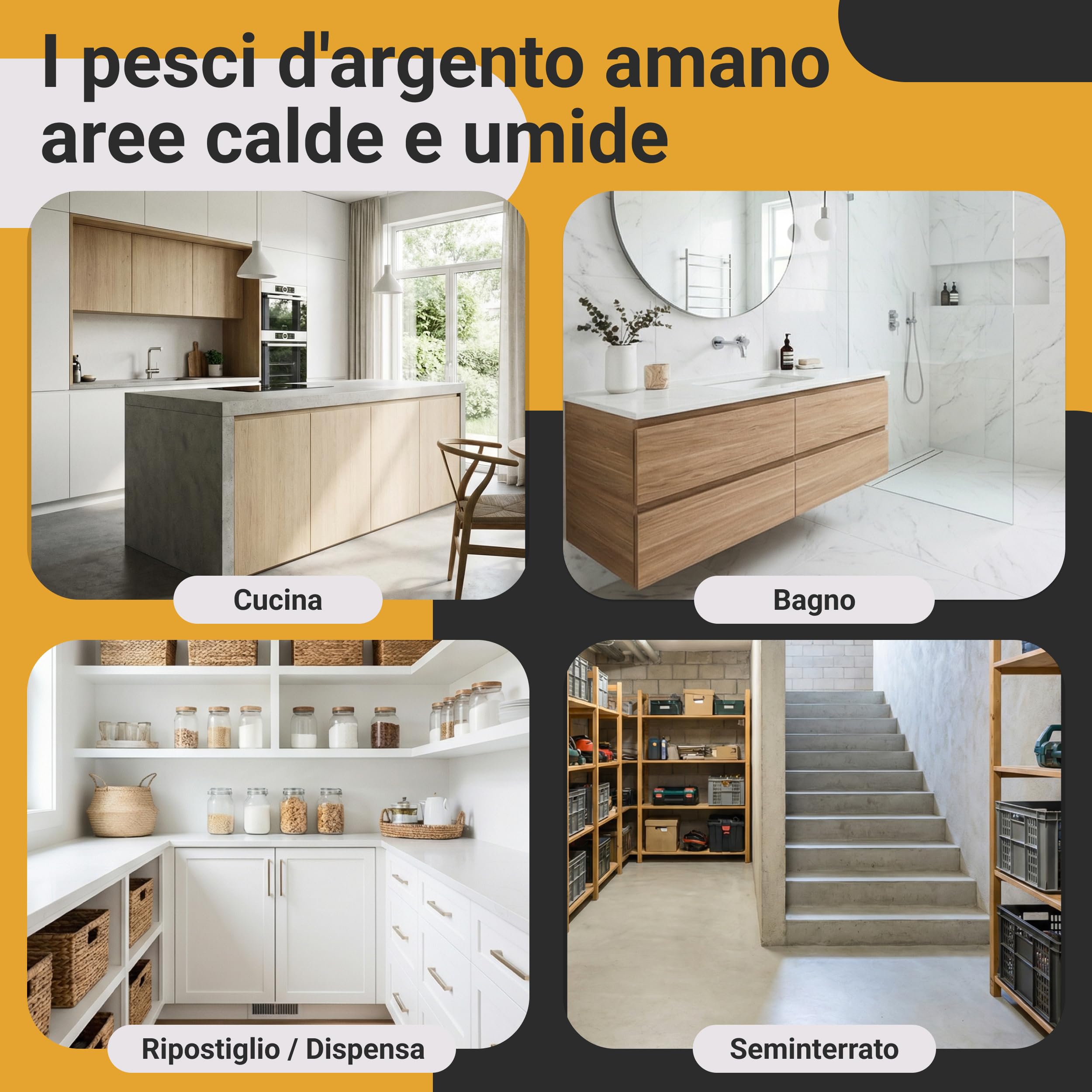 Proxinova Trappole Pesciolini d'argento - Trappola Pesciolini D'argento con Esca Naturale Adesiva per Monitoraggio Infestazioni Fino a 12 Settimane - 12 Pezzi - Made in Germany
