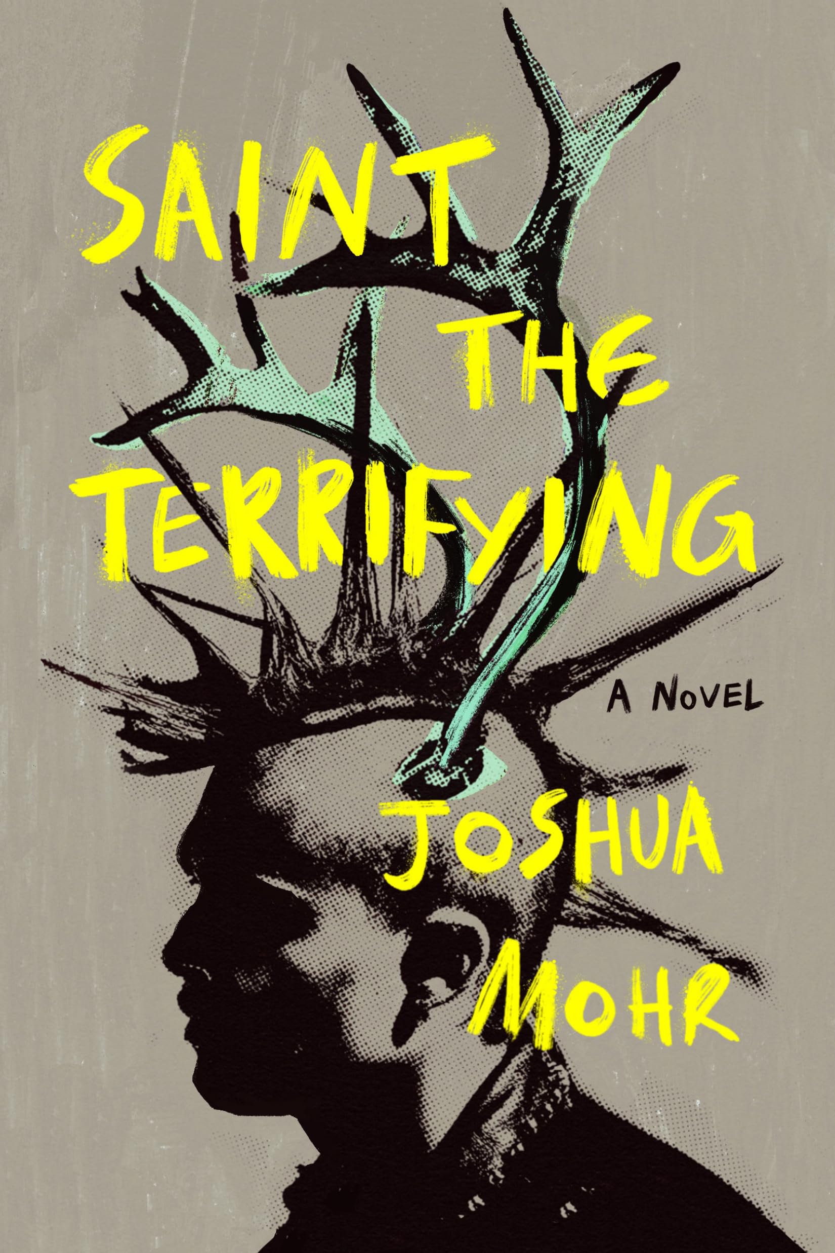 Buy Saint the Terrifying: 1 (Joshua Mohr's Viking Punk Saga, 1) — BookShops.in