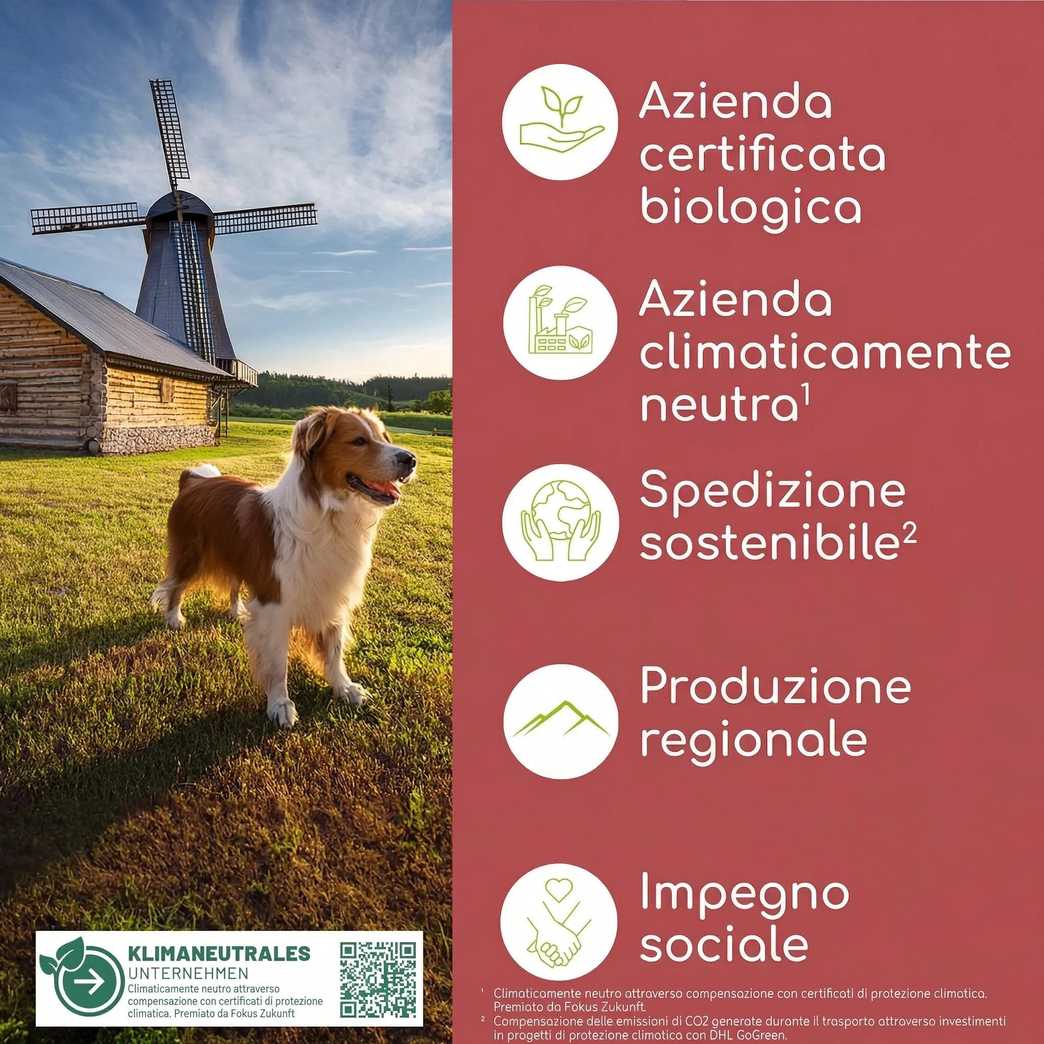 Olio alimentare per cani 1 litro – 100% Olio BARF biologico - Naturale e vegano - Con olio di lino, enotera, oliva, semi di zucca, chia - Con Omega 3-6-9, DE-ÖKO-060
