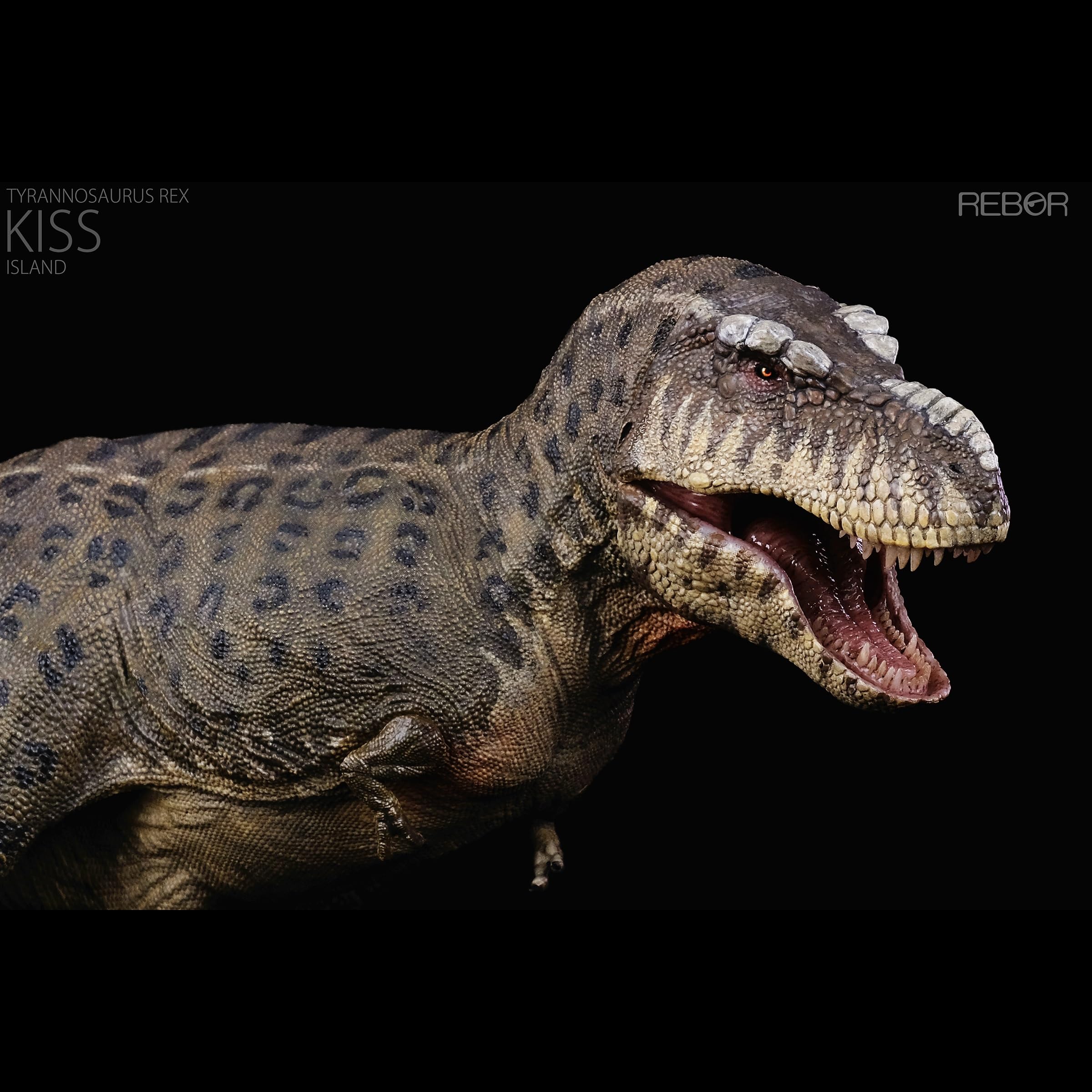 Amazon.com: XINPANYIAN Tyrannosaurus Rex Dinosaur Model, 1