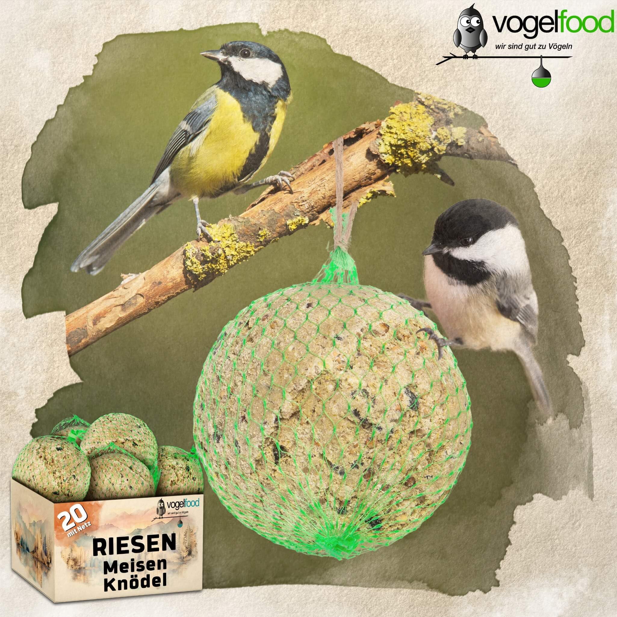 Vogelfood 20 Stck Riesen-Meisenknödel Vogelfutter Fettfutter Winterfutter Vogel Futter Meisenknödel