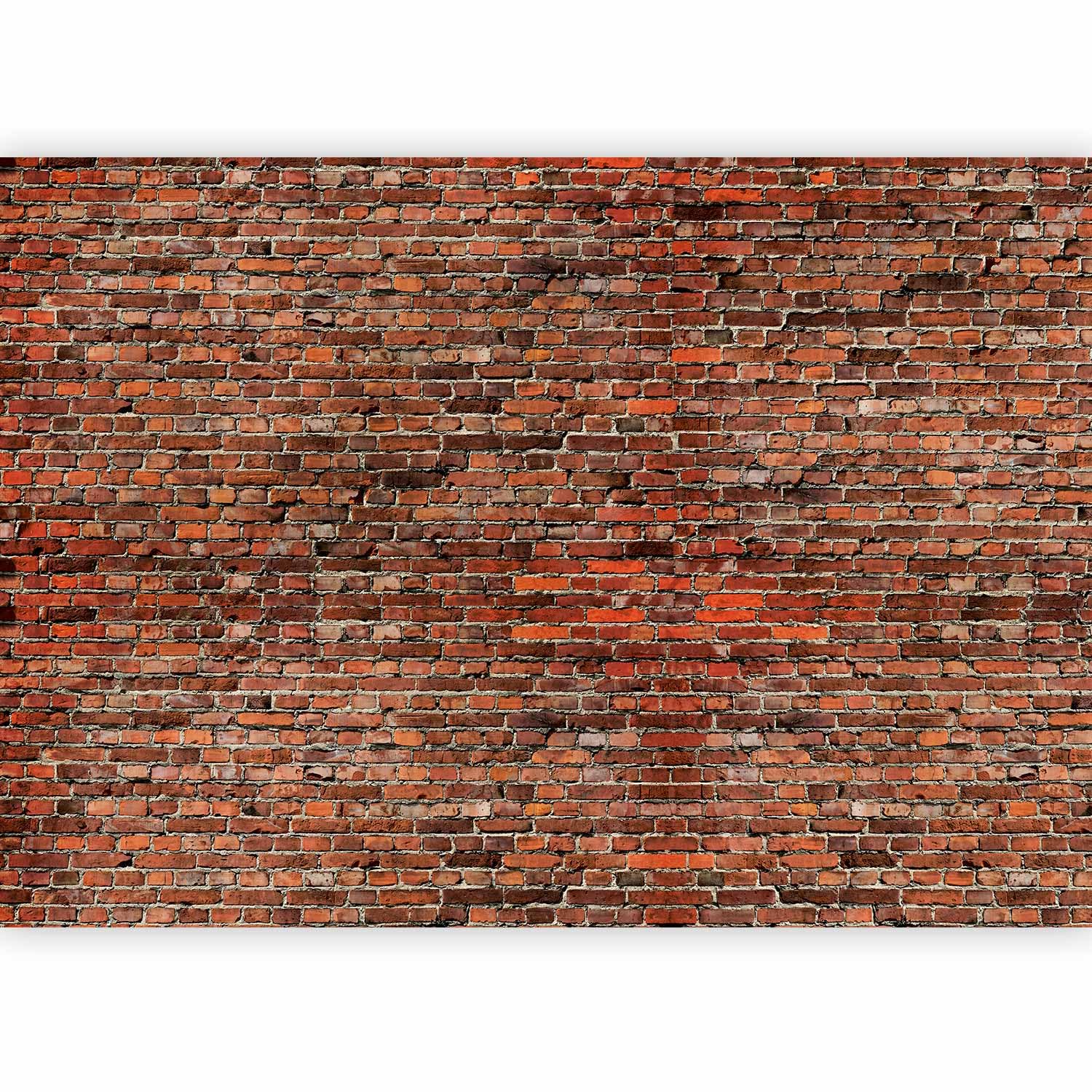 murando - Papier Peint Panoramique Intissé Épais Salon, Brique, 350x256 cm