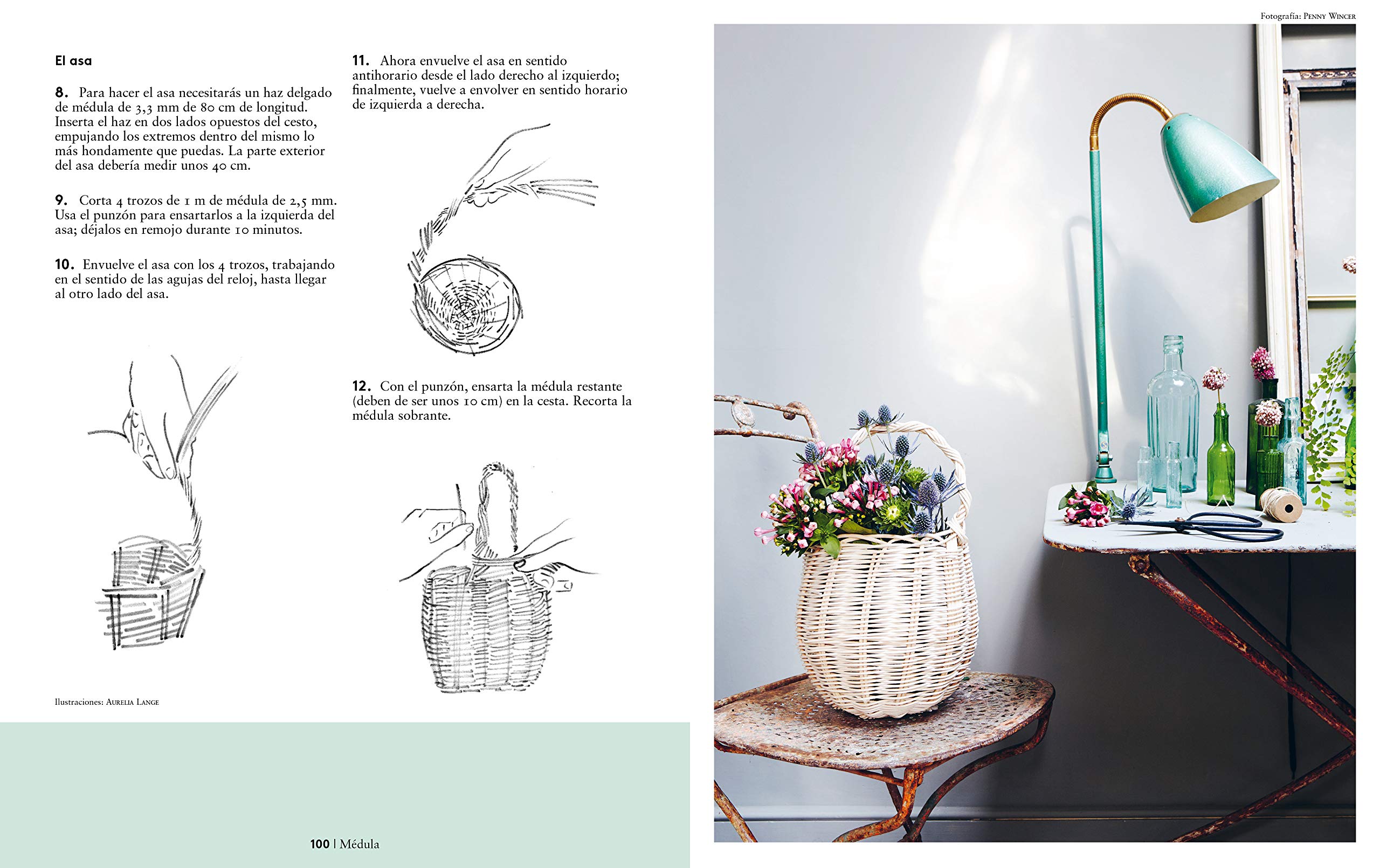 Cestería: Proyectos, técnicas y diseños inspiradores para ti y para el hogar