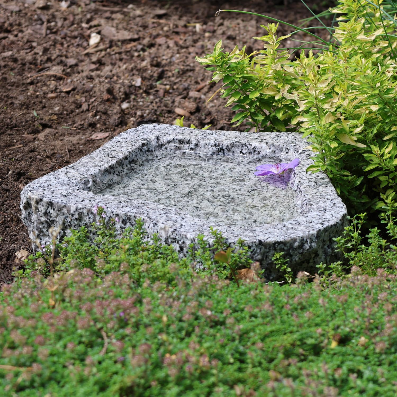 CLGarden Granit Vogeltränke frostsicher Vogelbad Naturform Winterfest Schale Tränke Natur Stein