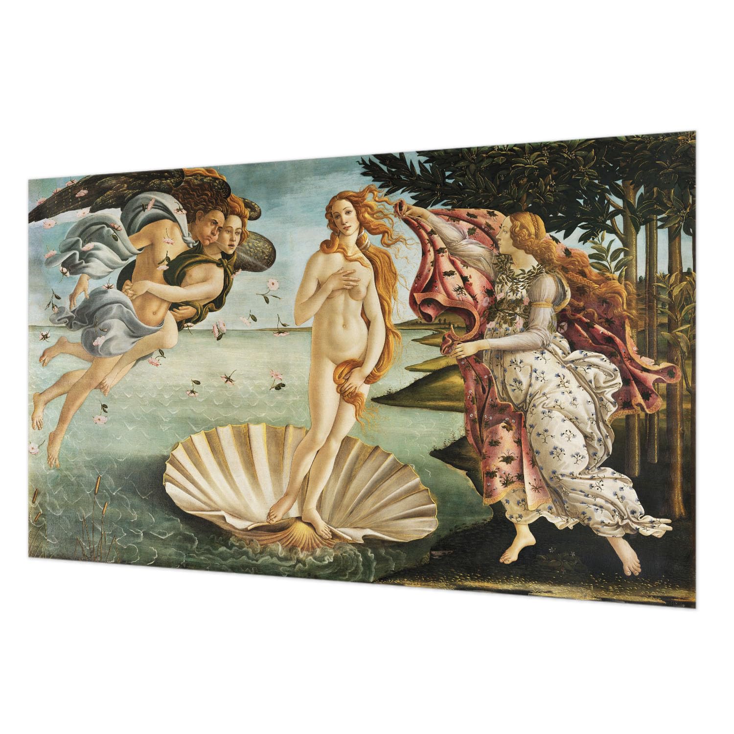 Papier peint intissé facile à nettoyer décoration murale Vénus