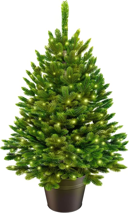 Weihnachtsbaum