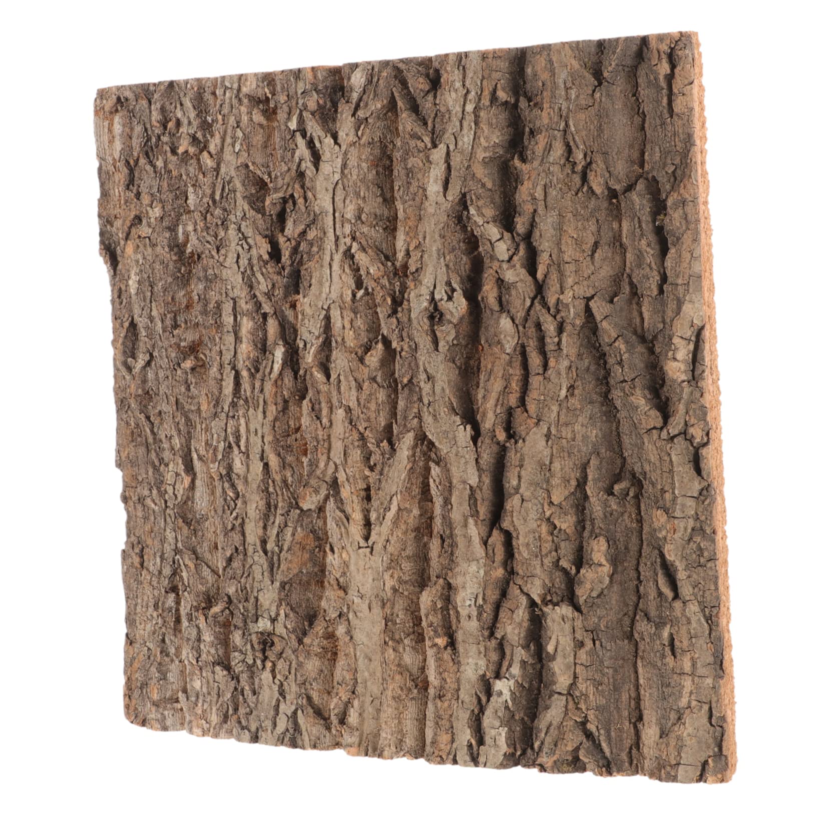 BESPORTBLE Real Bark Background Board Reptile Supply Dragon Cork Background Crested Reptile Plants Vivarium Background Terrariums Reptile Background Bark Backdrop Shaped Lizard Mat Cork Board