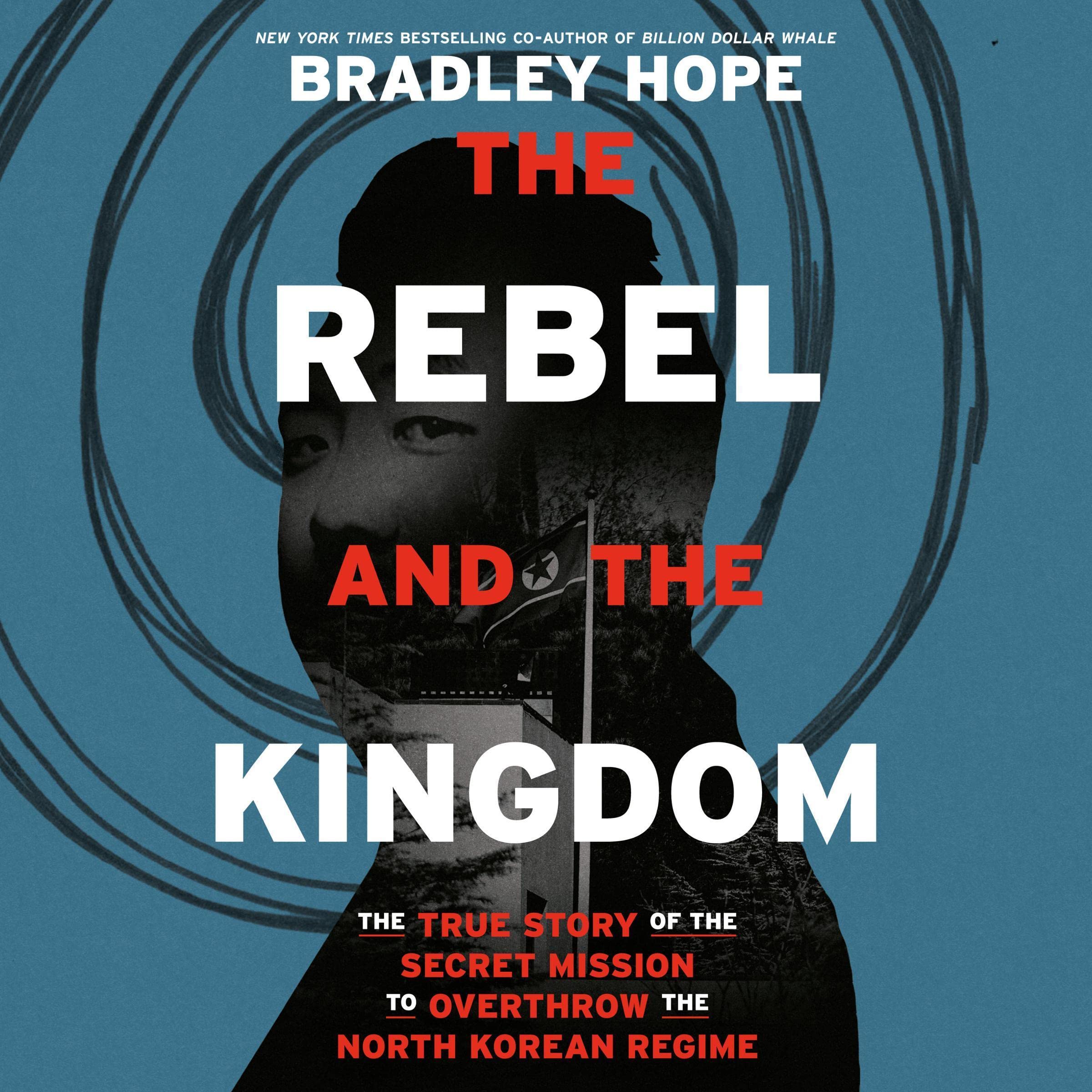 Cover art for The Rebel and the Kingdom