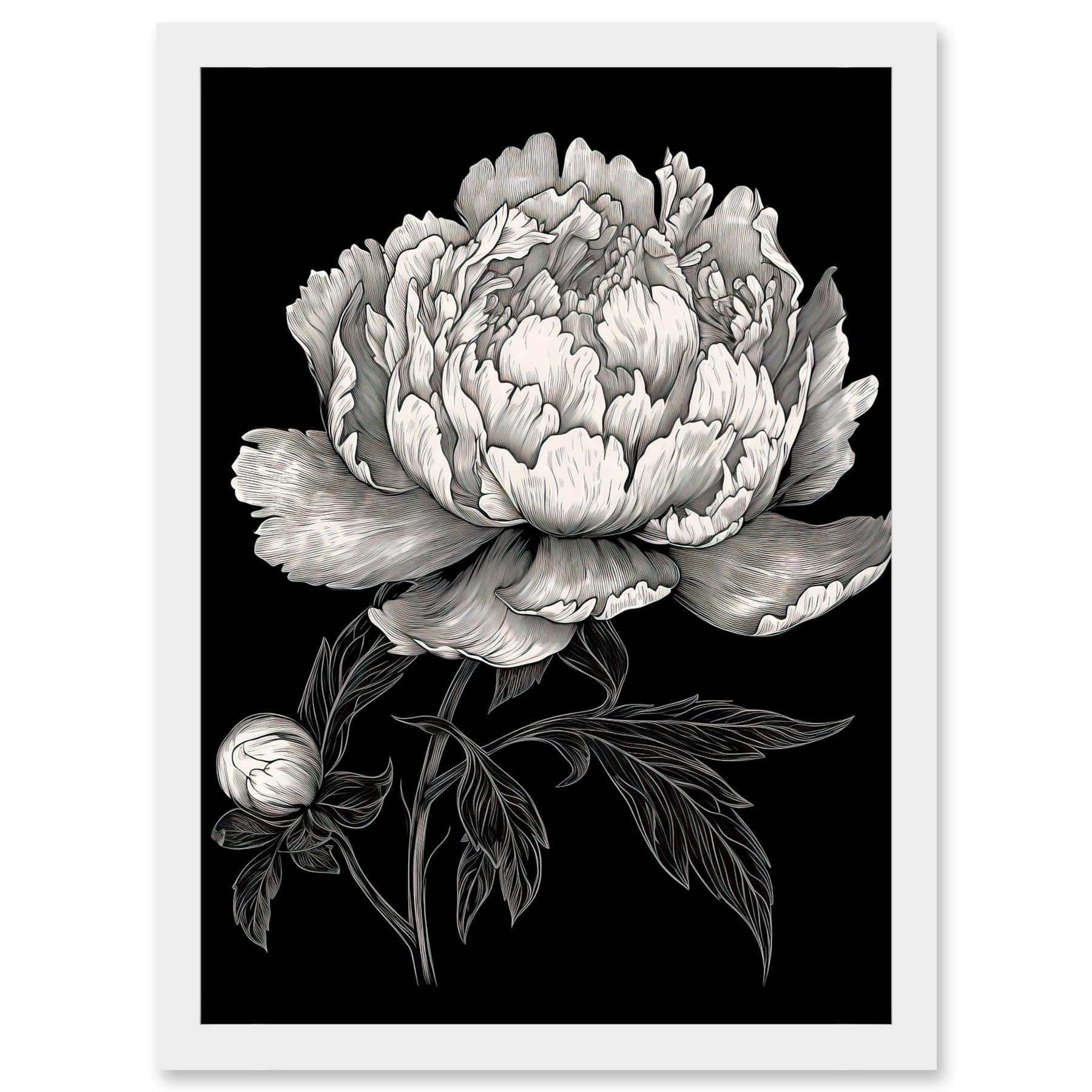 Artery8 A Peony Flower Bloom Black and White Blind Contour Artwork Framed A3 Wall Art Print