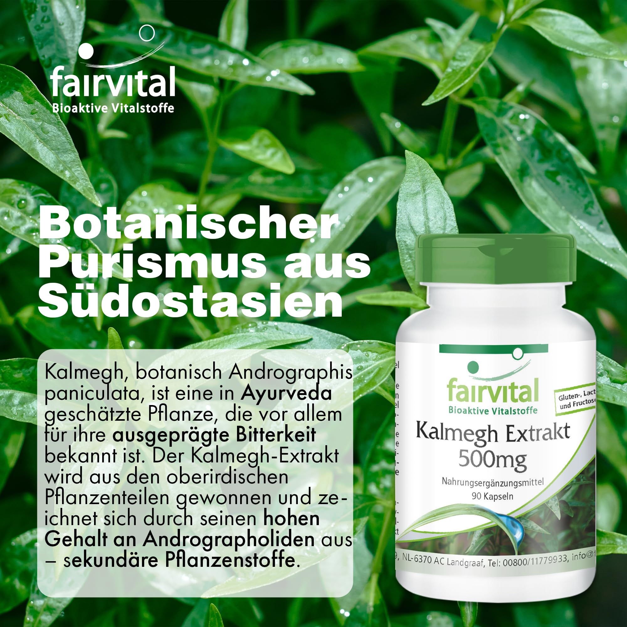 fairvital Kalmegh Extrakt 500 mg, 90 Kapseln 5-fach konzentrierter Extrakt aus dem Kalmegh-Blatt, für 3 Monate, qualitätsgeprüft und hoch dosiert, 100% vegan, Made in Germany