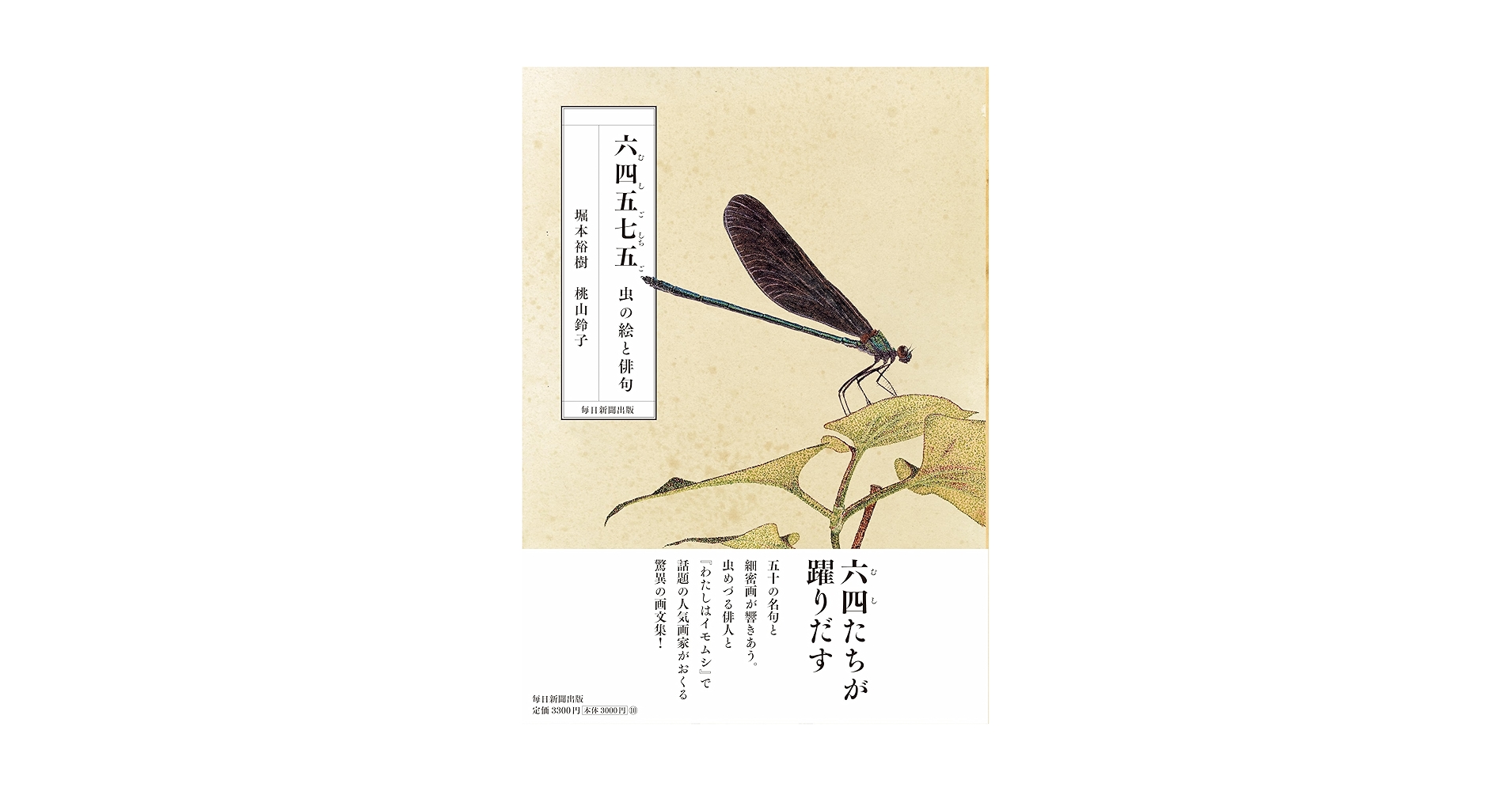 昆虫学者 夏の風物詩 昆虫学者 夏の風物詩